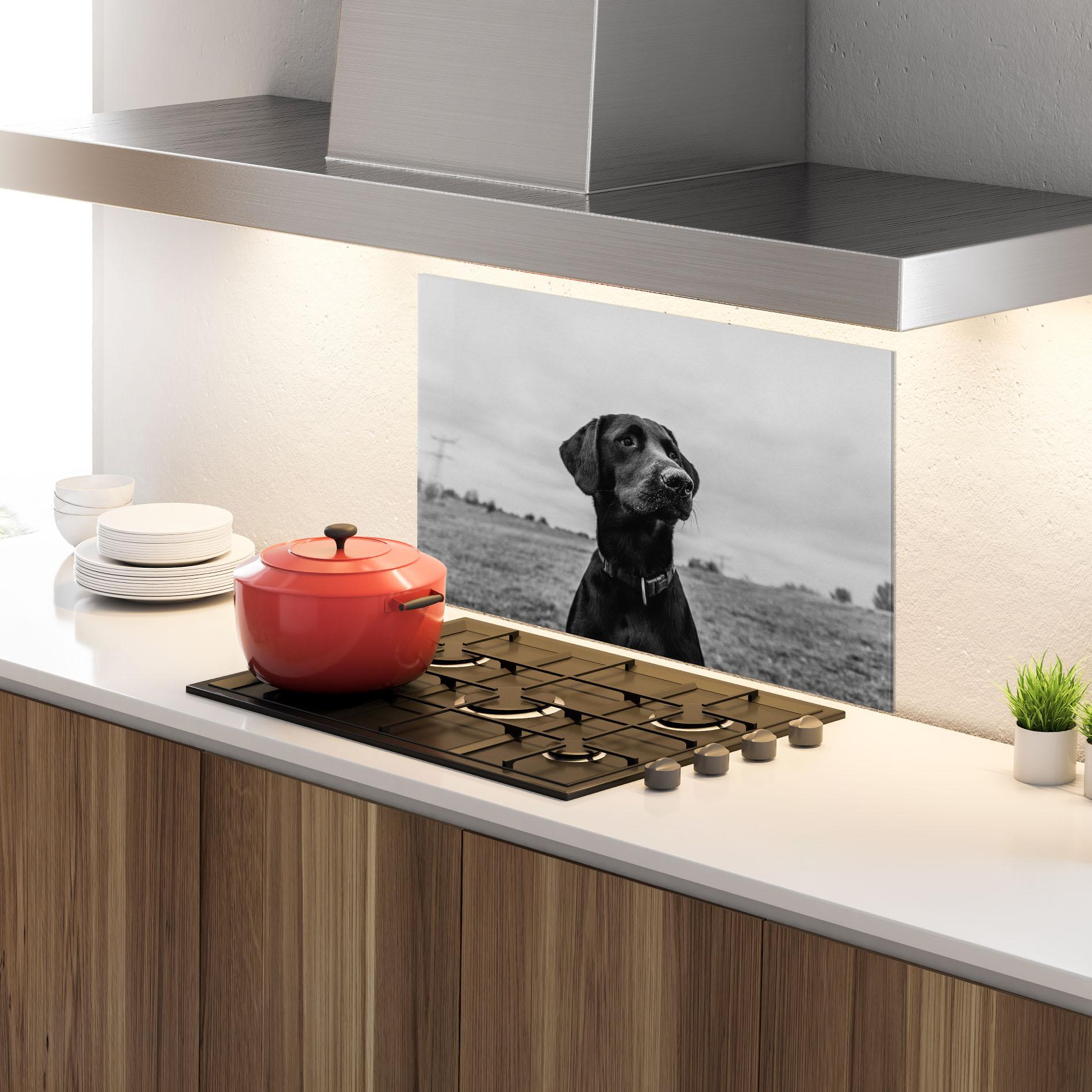 Panou Sticla Bucatarie Black Dog mockup 4