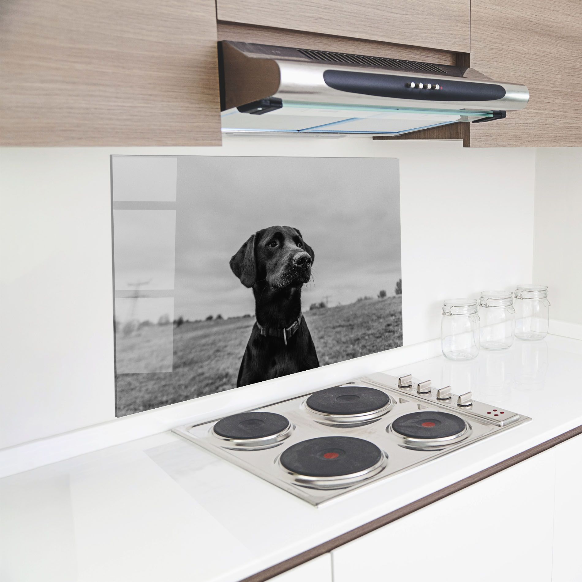 Black Dog mockup 8