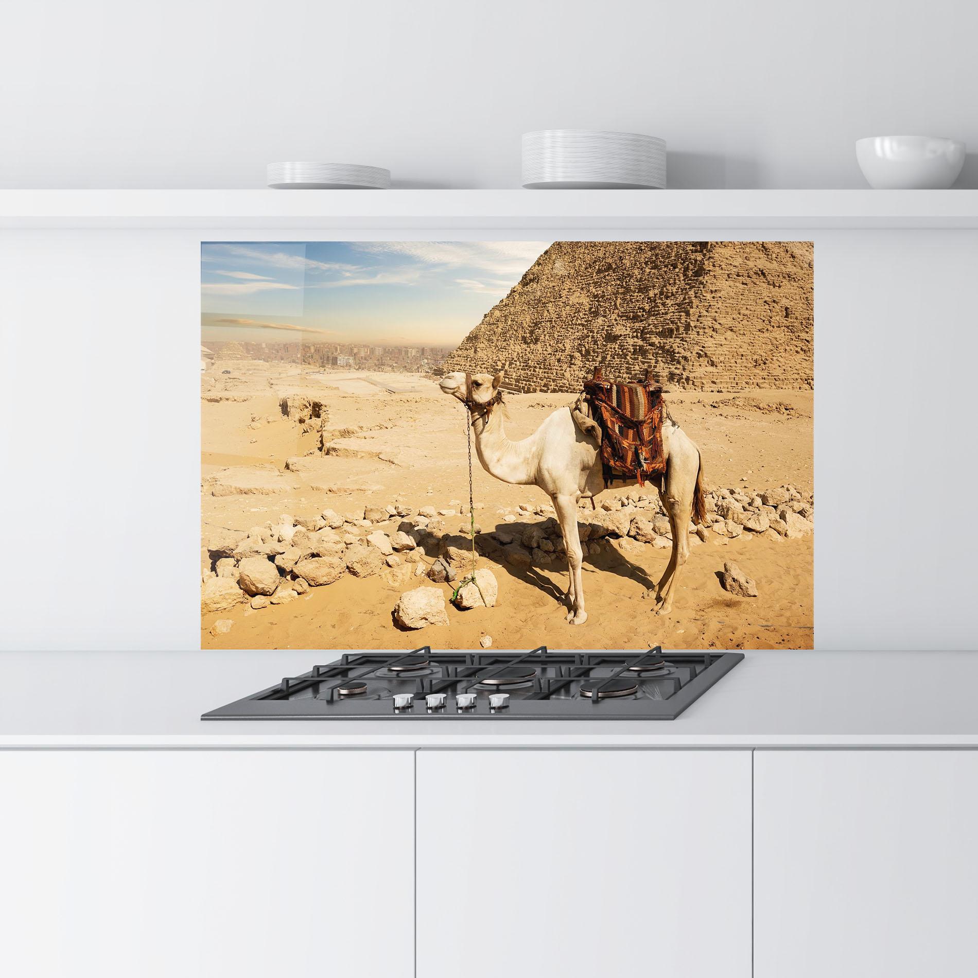 Panou Sticla Bucatarie Camel Near Ruins mockup 9