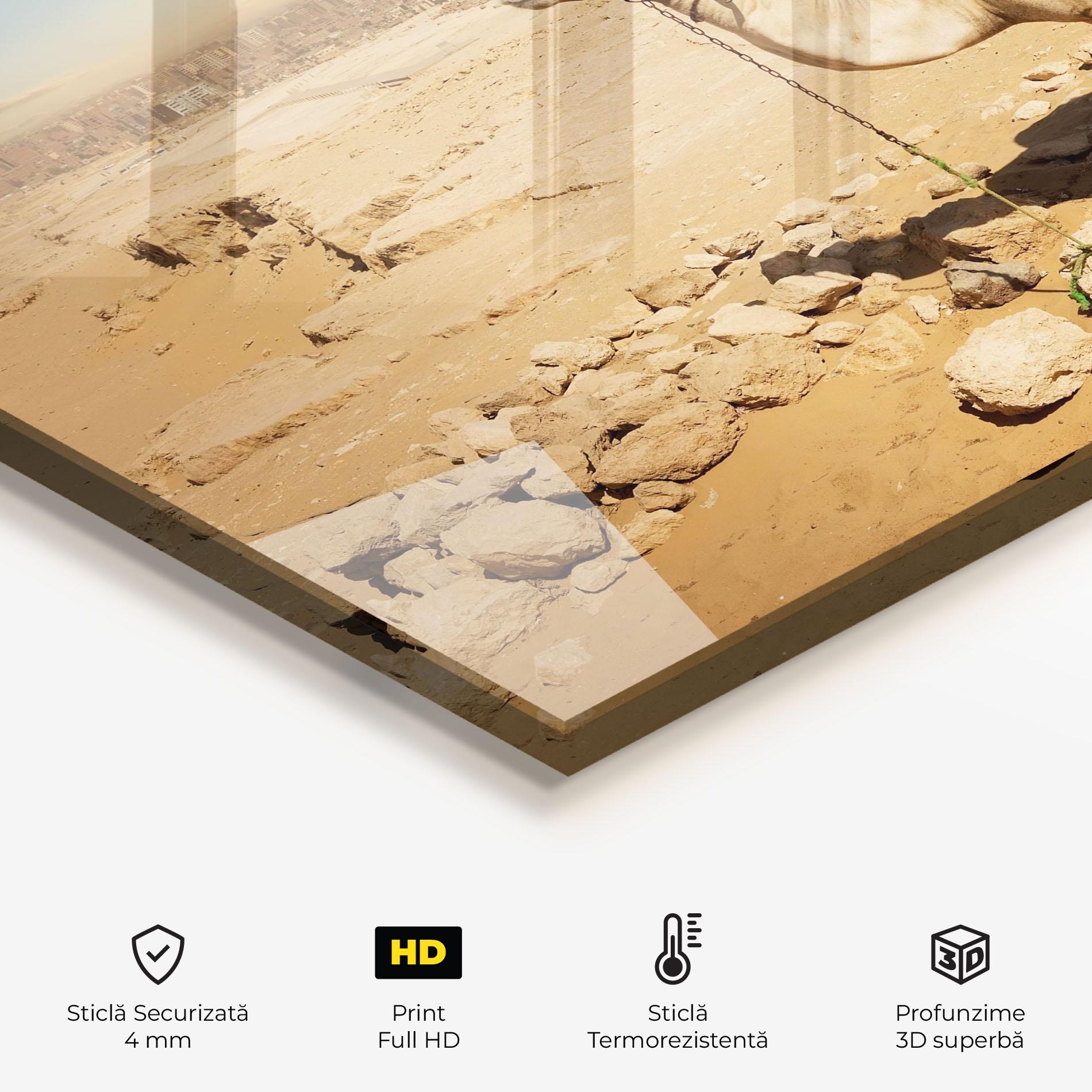 Panou Sticla Bucatarie Camel Near Ruins mockup 2