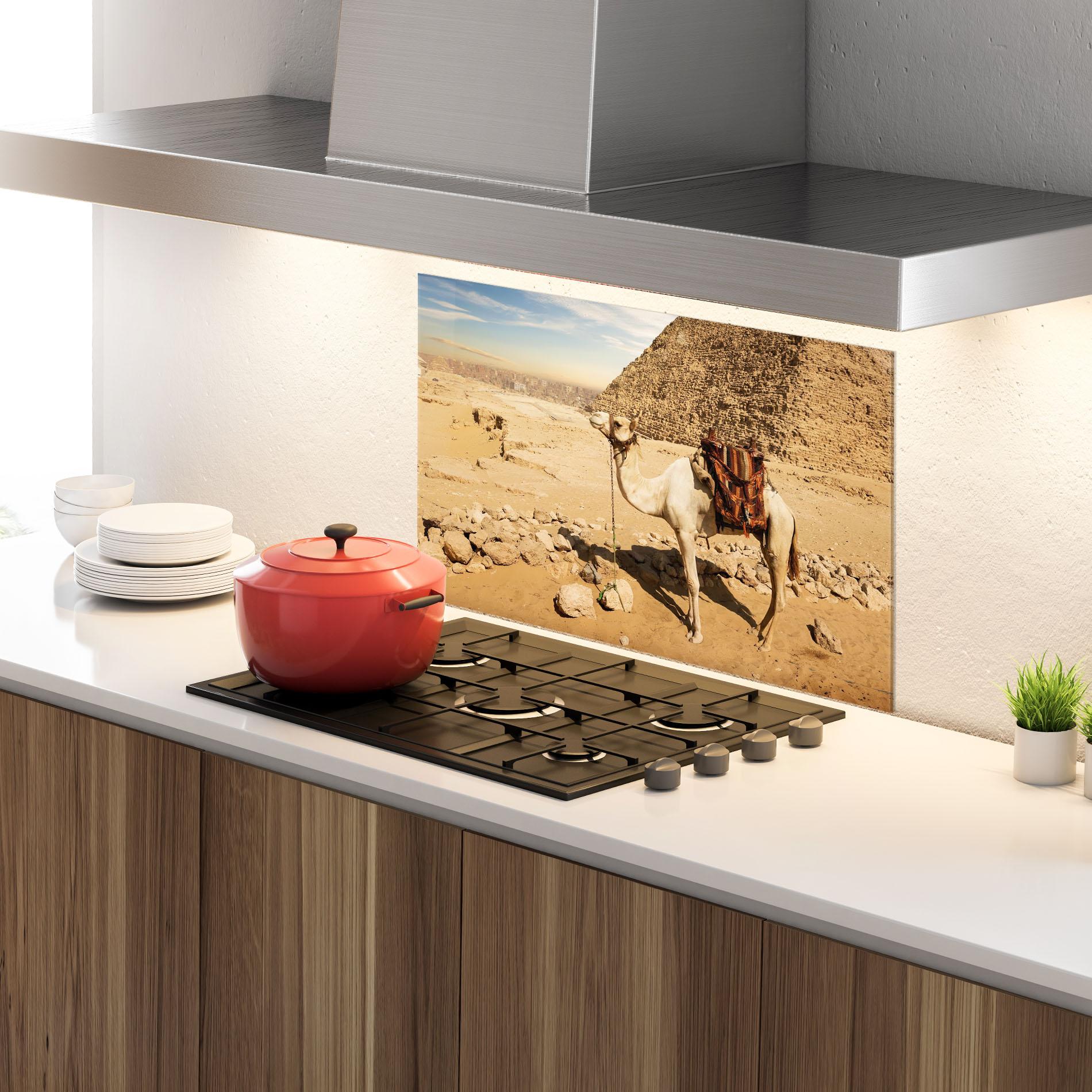 Panou Sticla Bucatarie Camel Near Ruins mockup 4