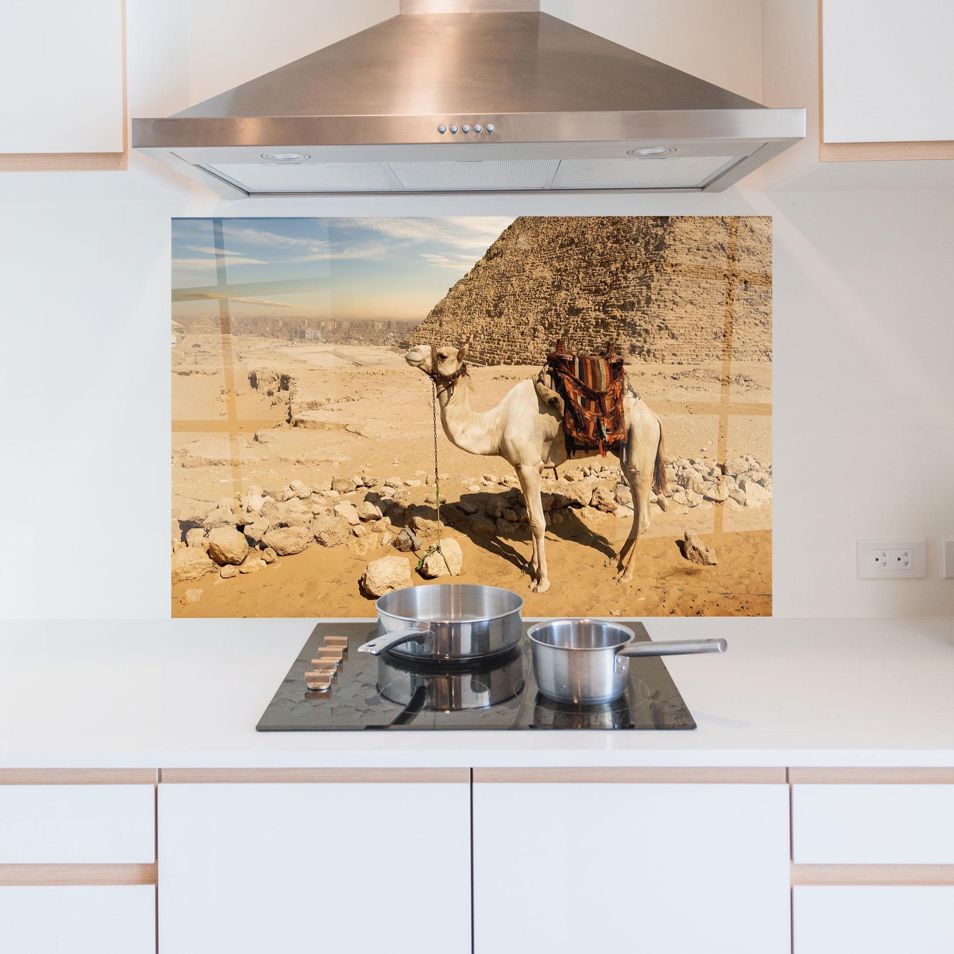 Panou Sticla Bucatarie Camel Near Ruins mockup 5