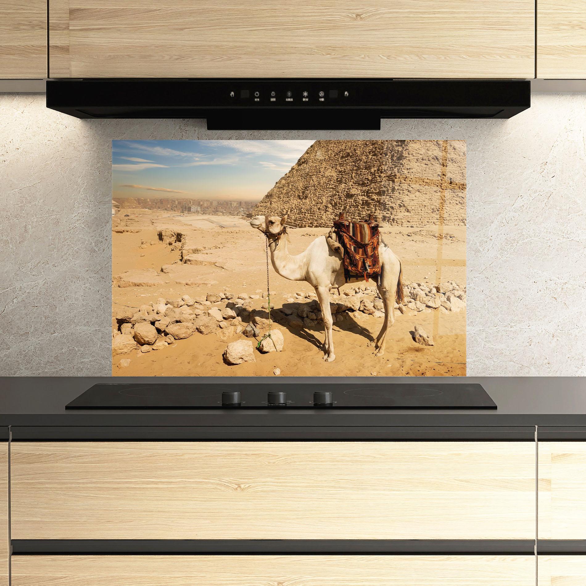 Panou Sticla Bucatarie Camel Near Ruins mockup 3