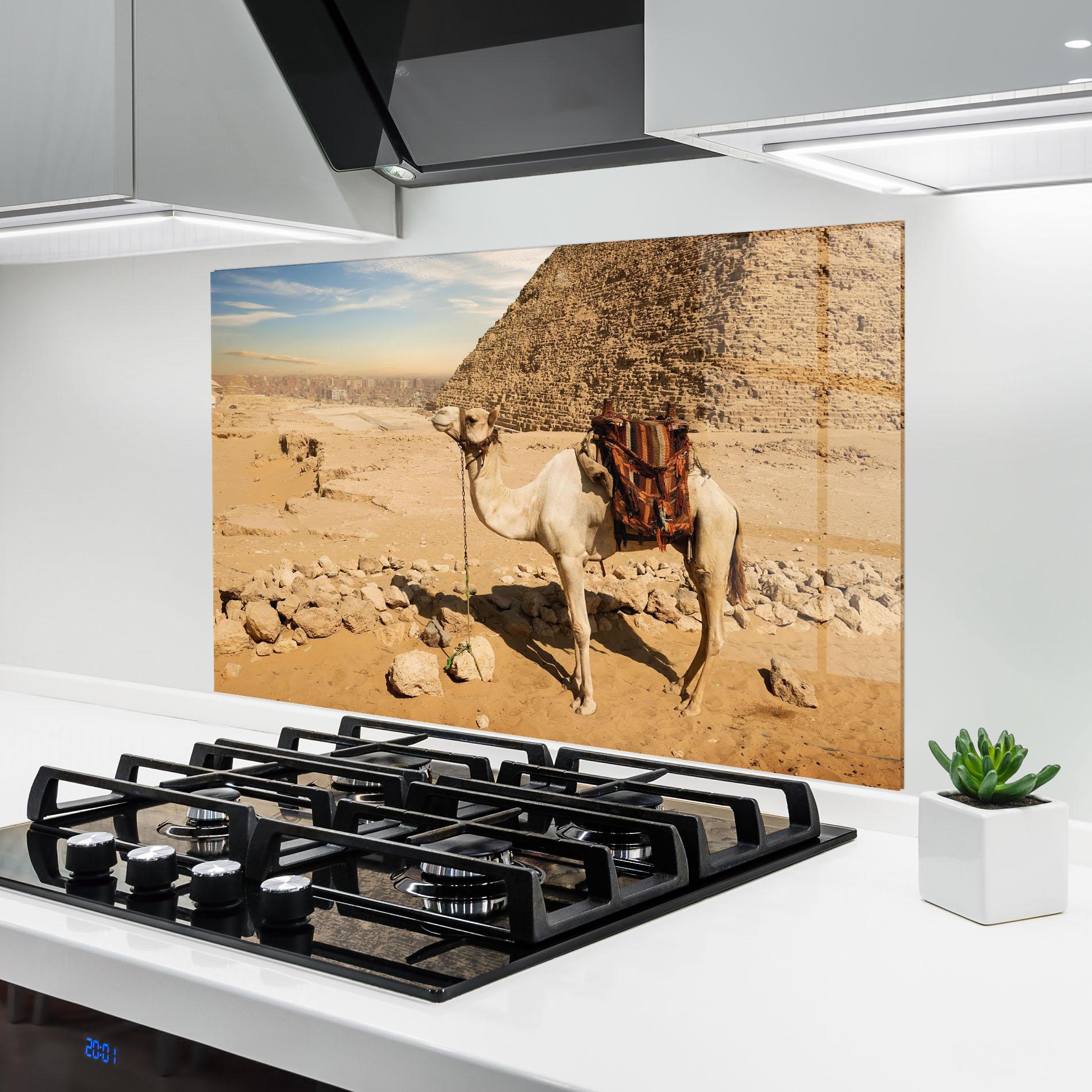 Panou Sticla Bucatarie Camel Near Ruins mockup 6
