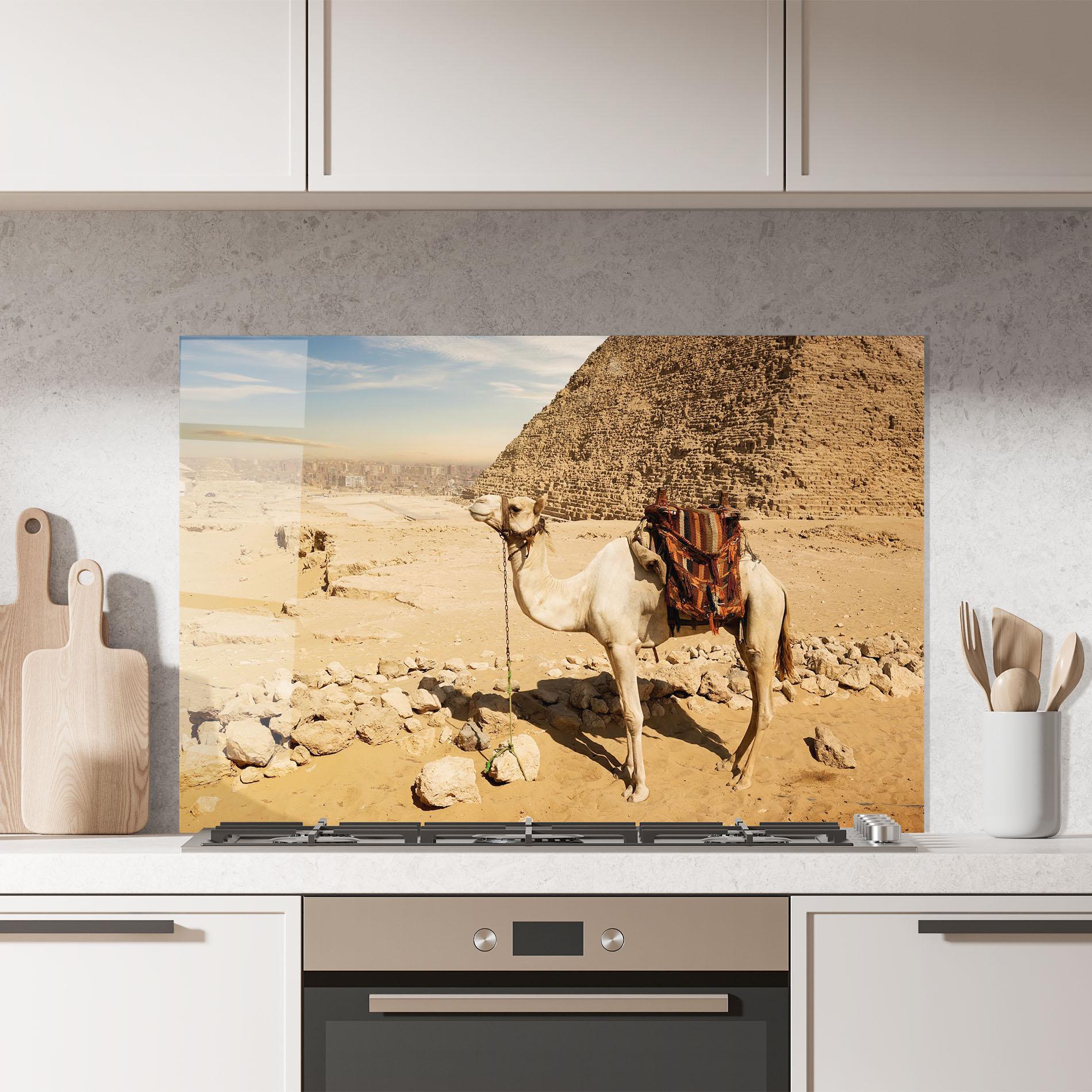 Panou Sticla Bucatarie Camel Near Ruins mockup 7