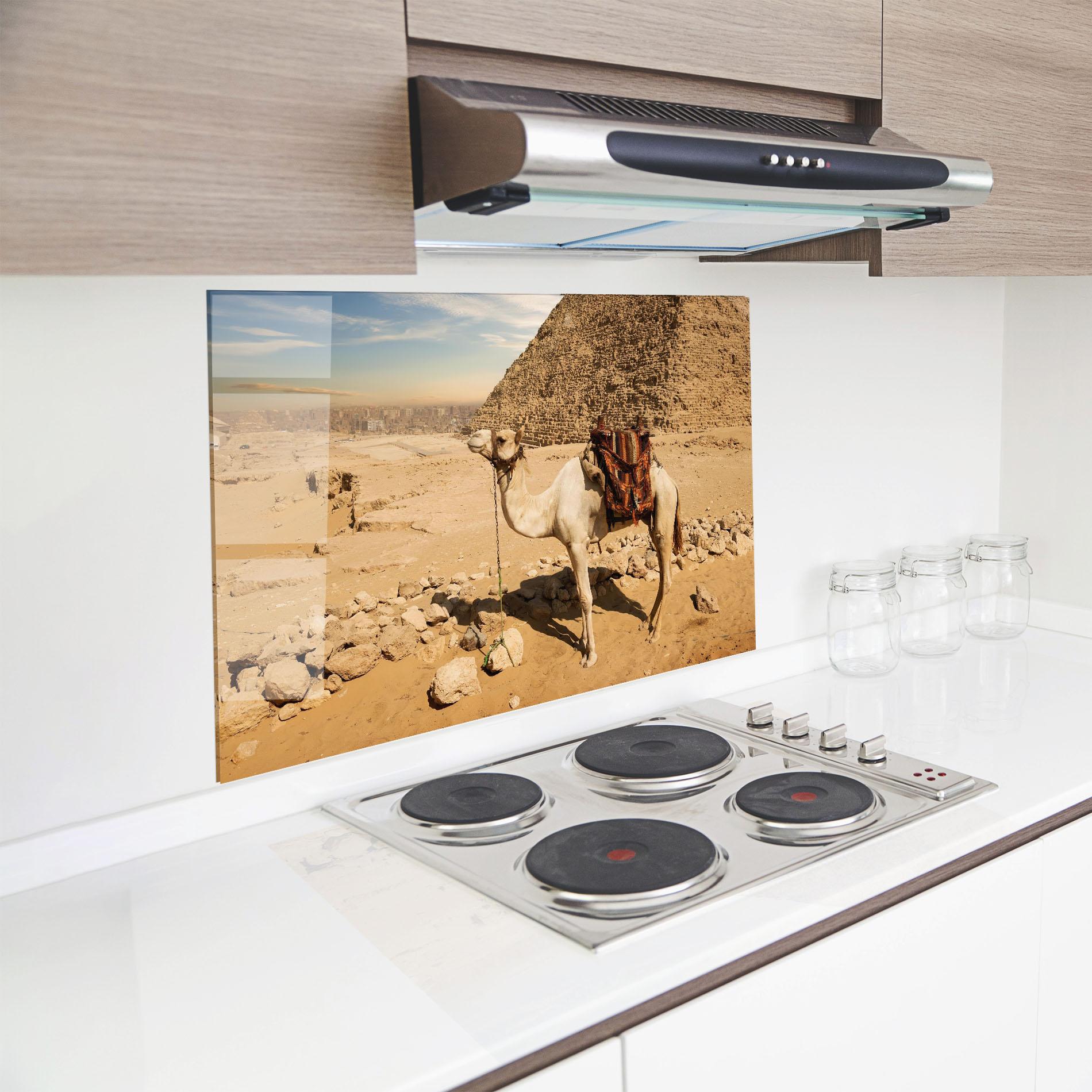 Panou Sticla Bucatarie Camel Near Ruins mockup 8