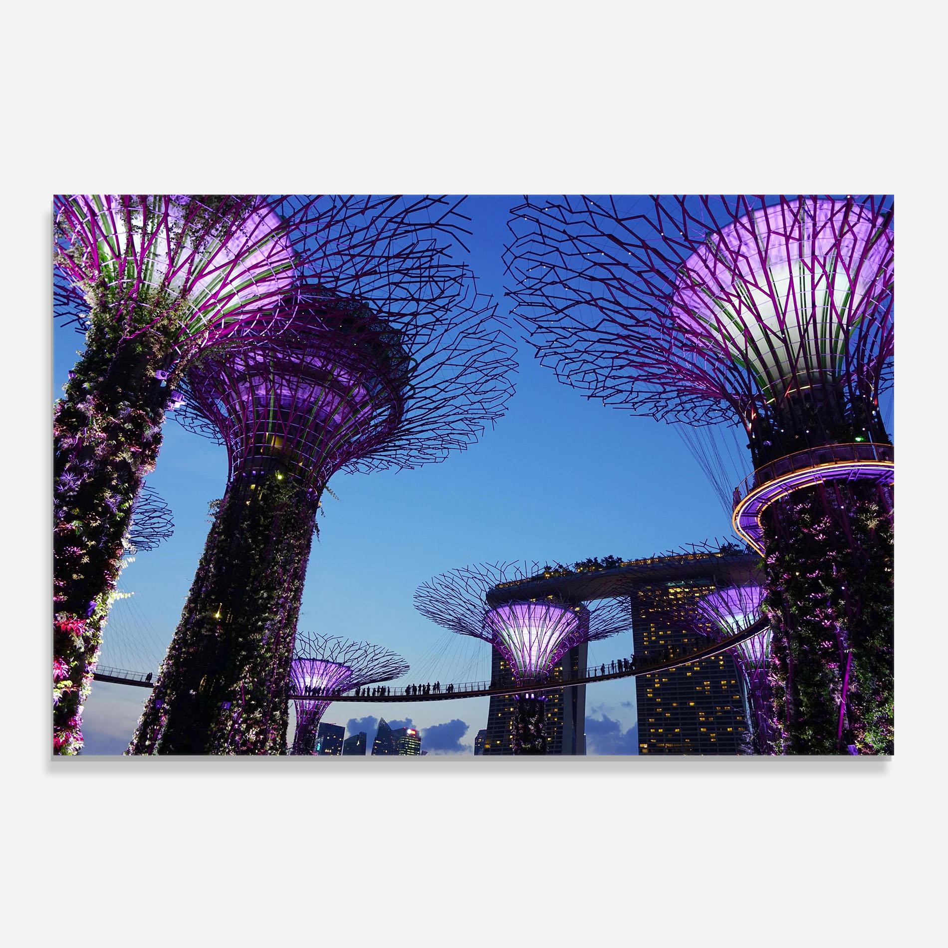 Panou Sticla Bucatarie Gardens By The Bay mockup 0