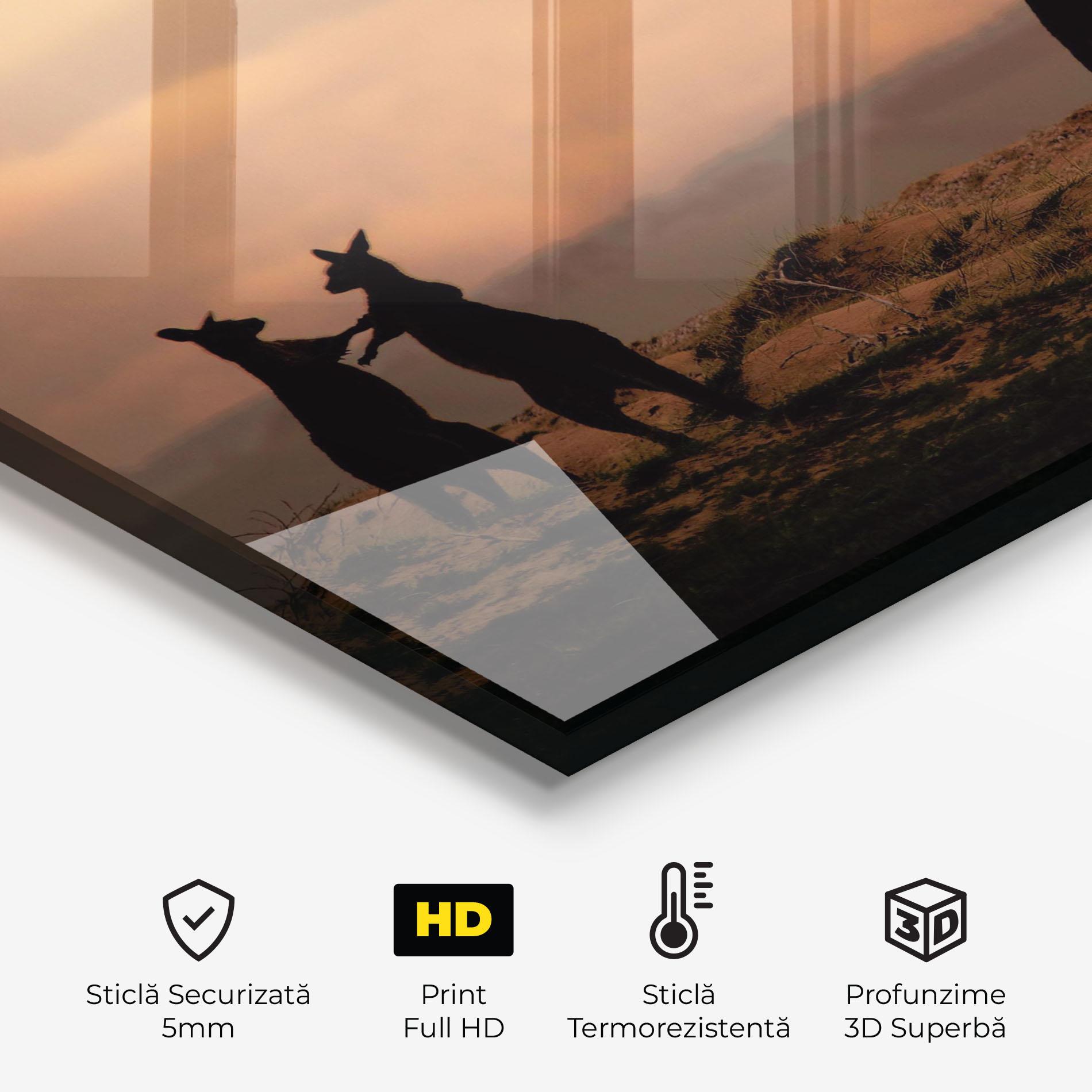 Panou Sticla Bucatarie Kangaroos Playing mockup 2