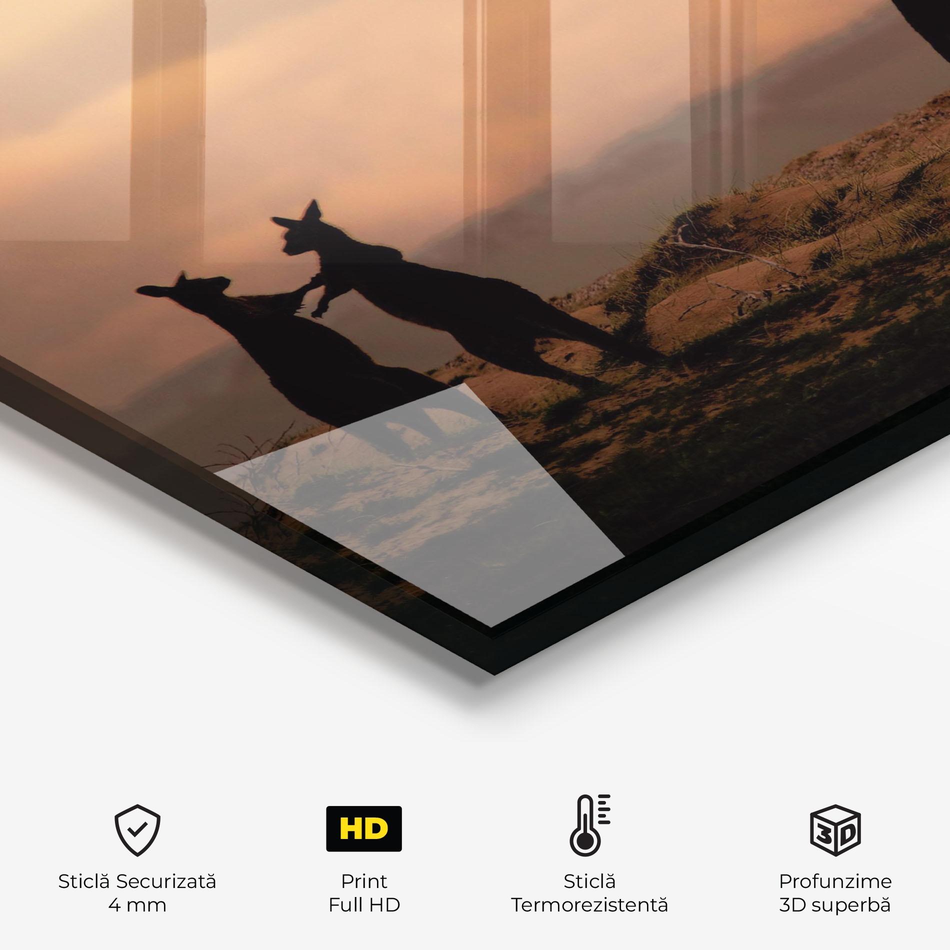 Panou Sticla Bucatarie Kangaroos Playing mockup 2