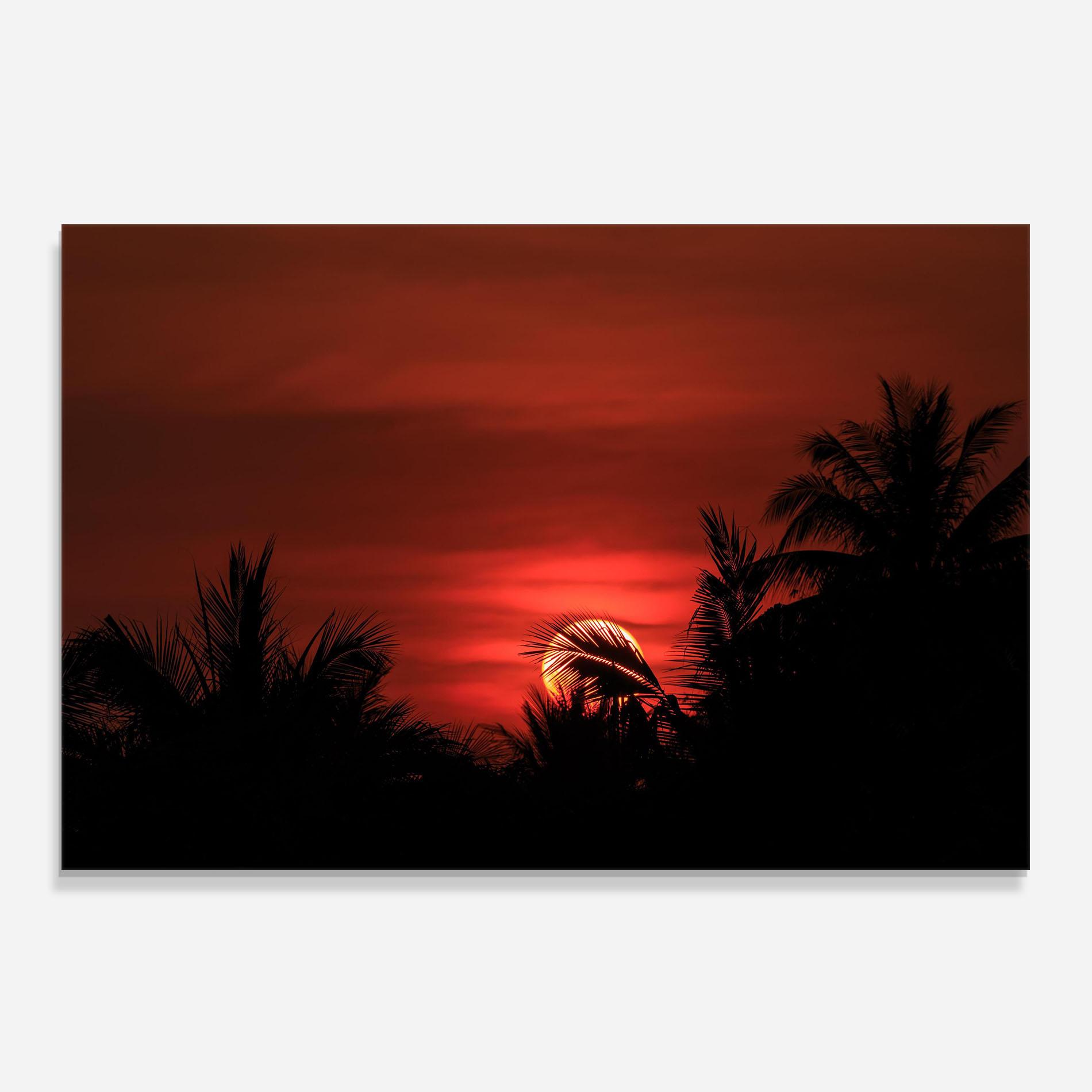 Panou Sticla Bucatarie Coconuts Tree Sunset mockup 0