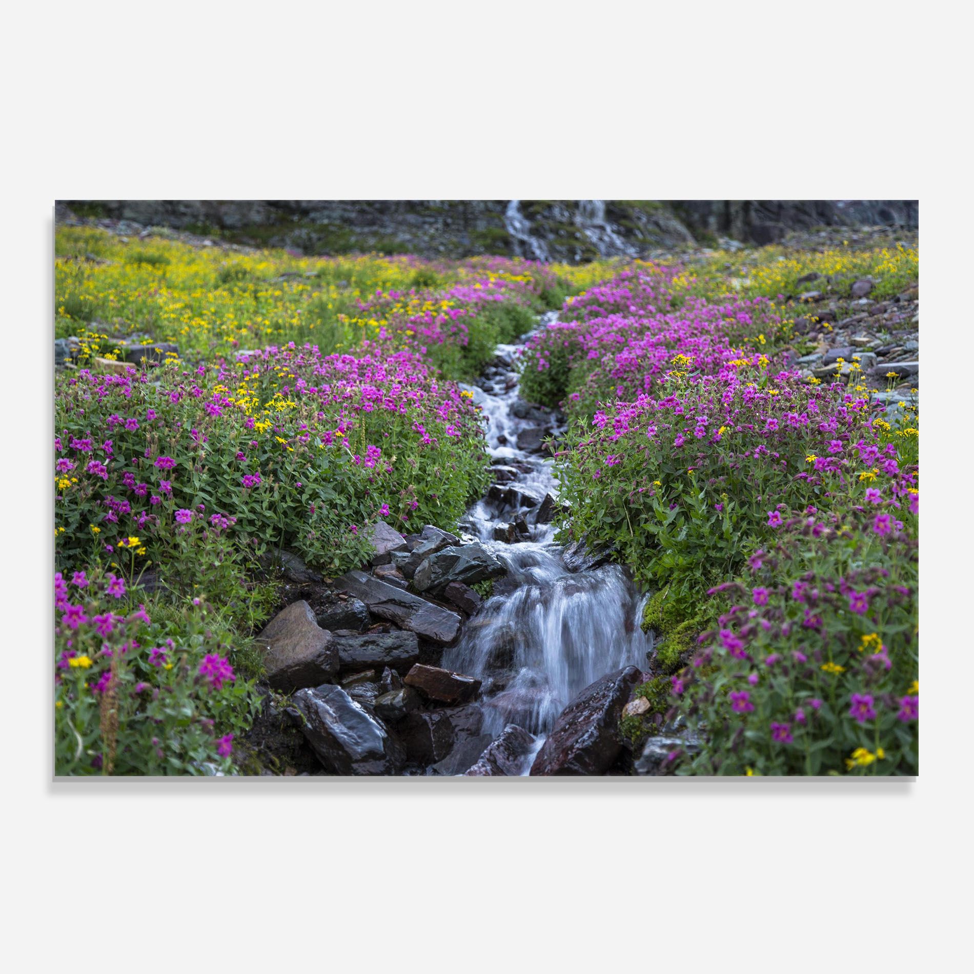 Purple Field Waterfall mockup 0
