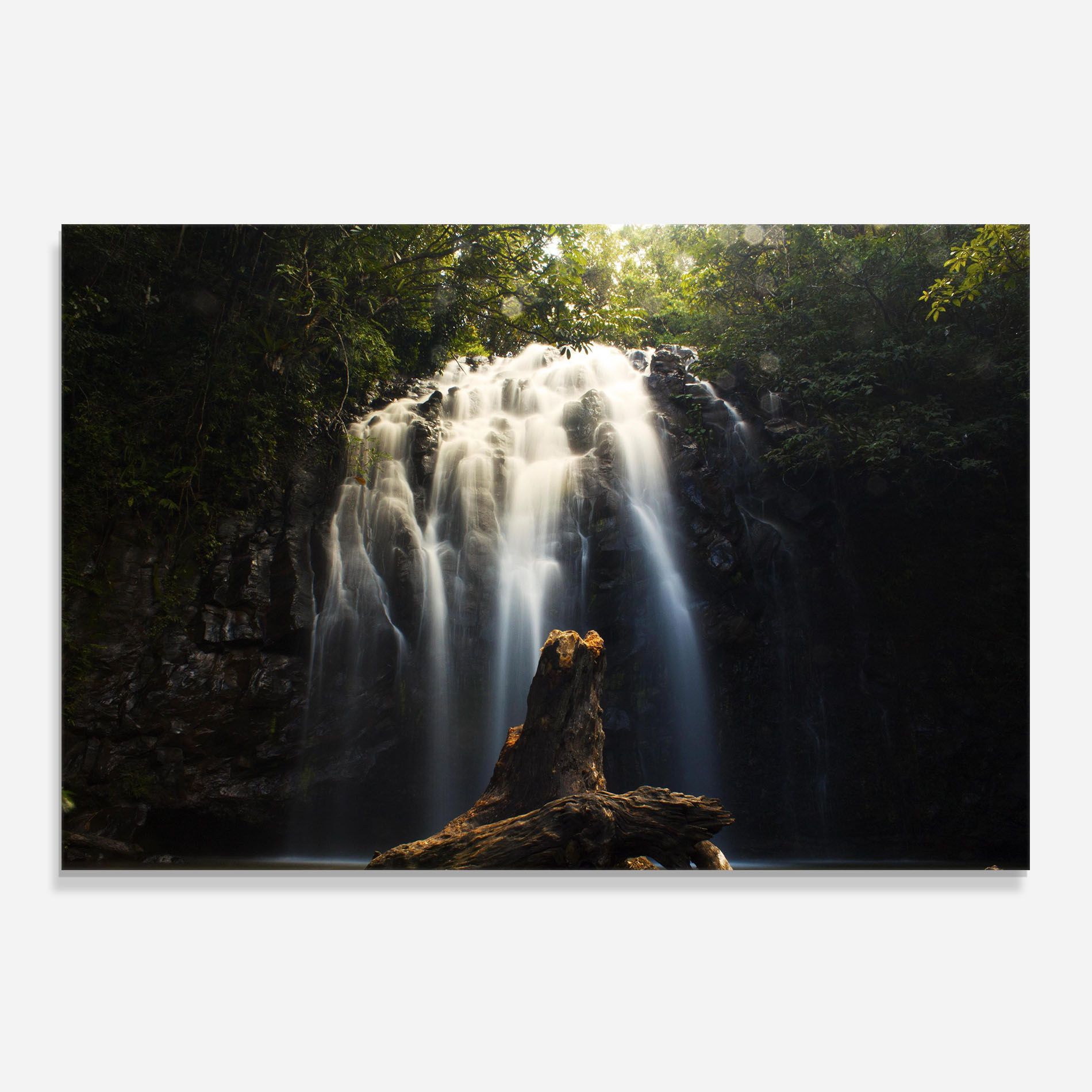 Tree Log Waterfall mockup 0
