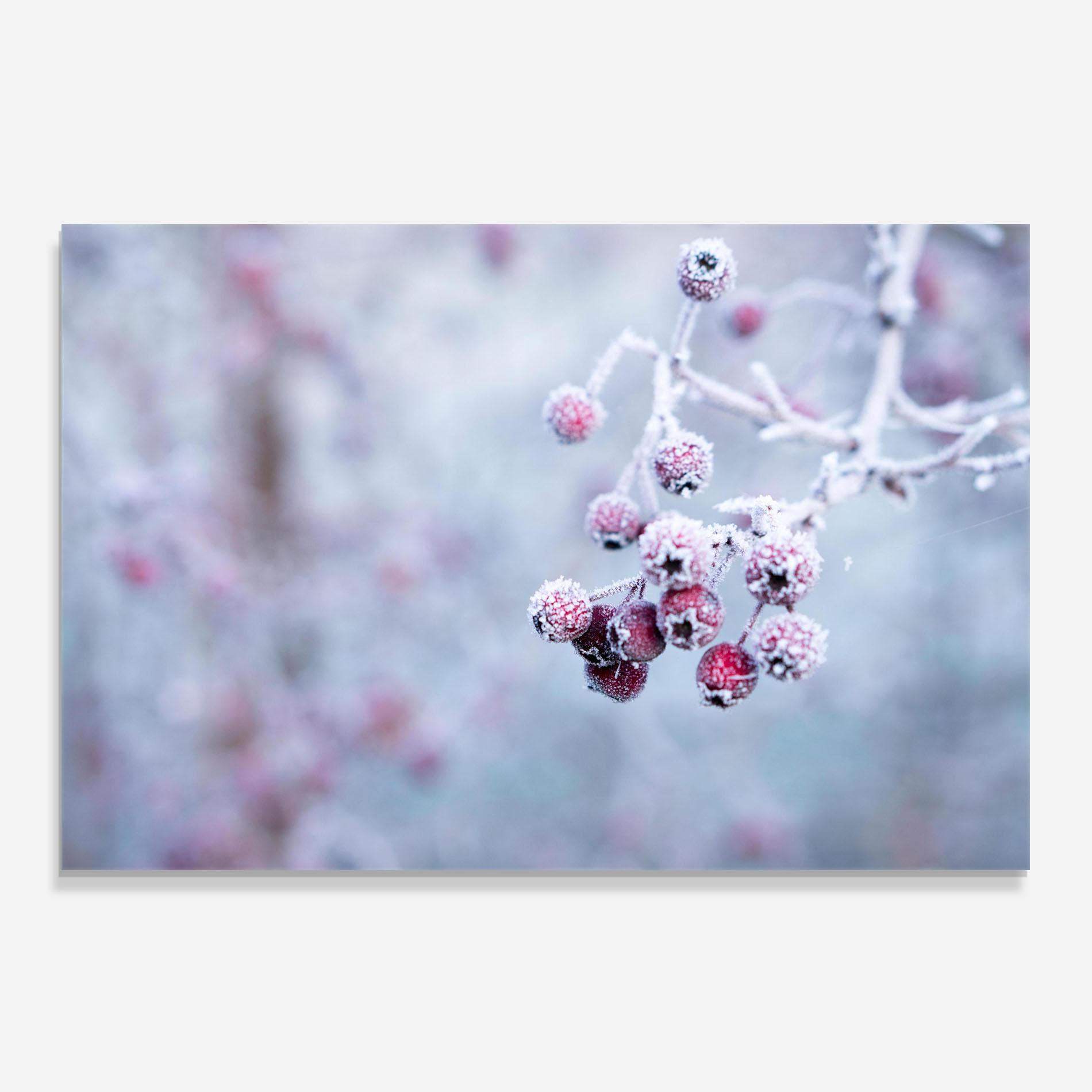 Panou Sticla Bucatarie Red Winter Fruits mockup 0