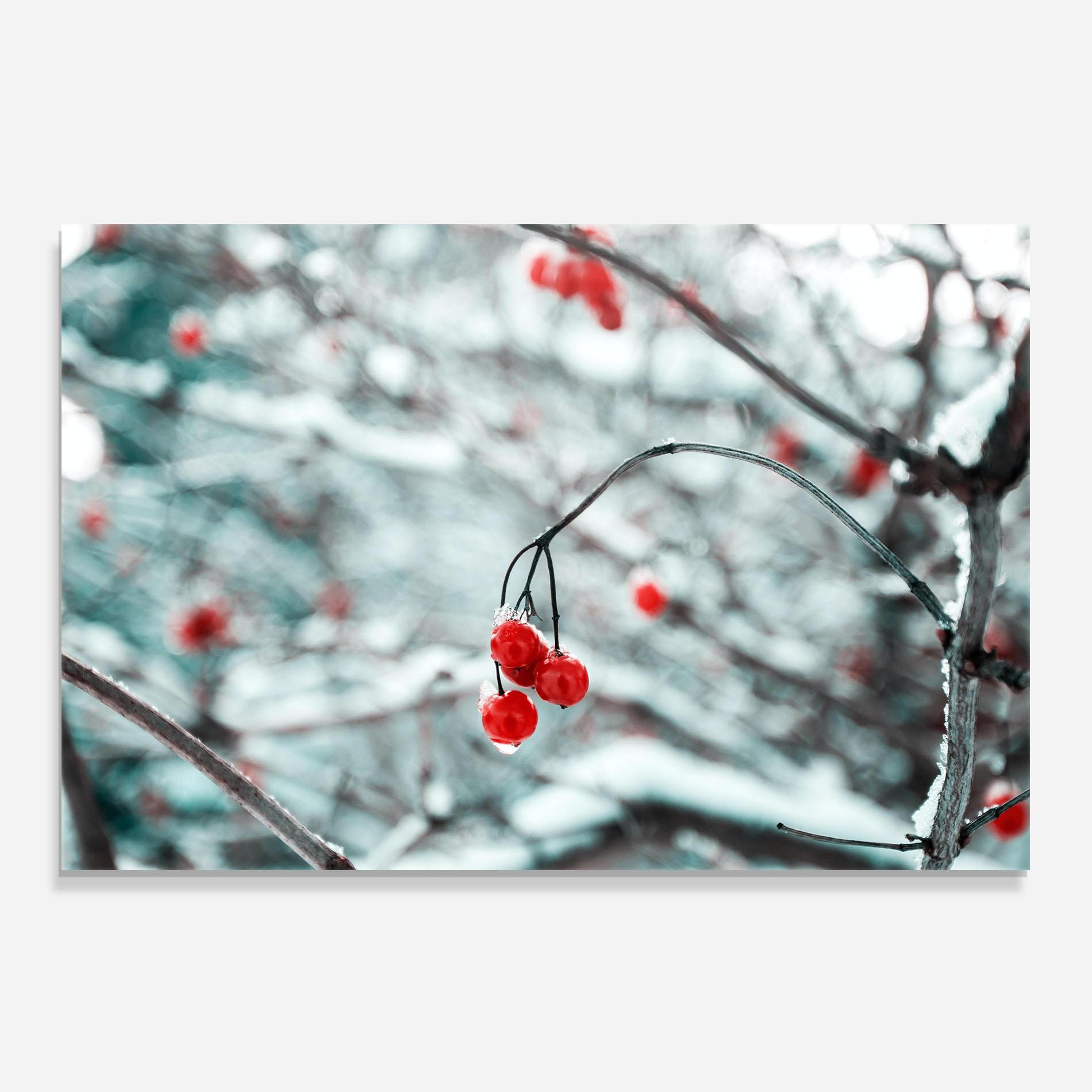 Panou Sticla Bucatarie Snow Red Fruits mockup 0