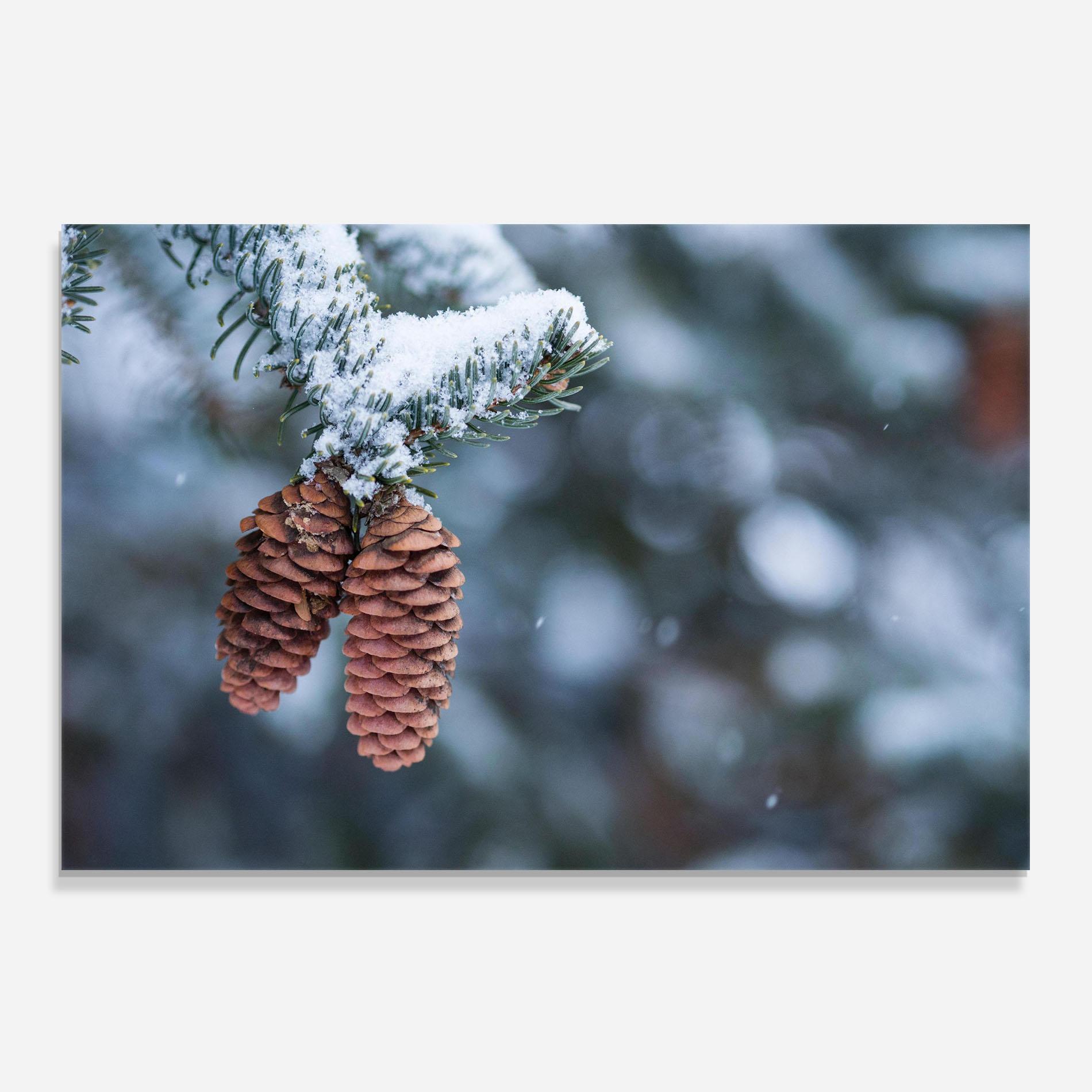 Panou Sticla Bucatarie Winter Cones mockup 0