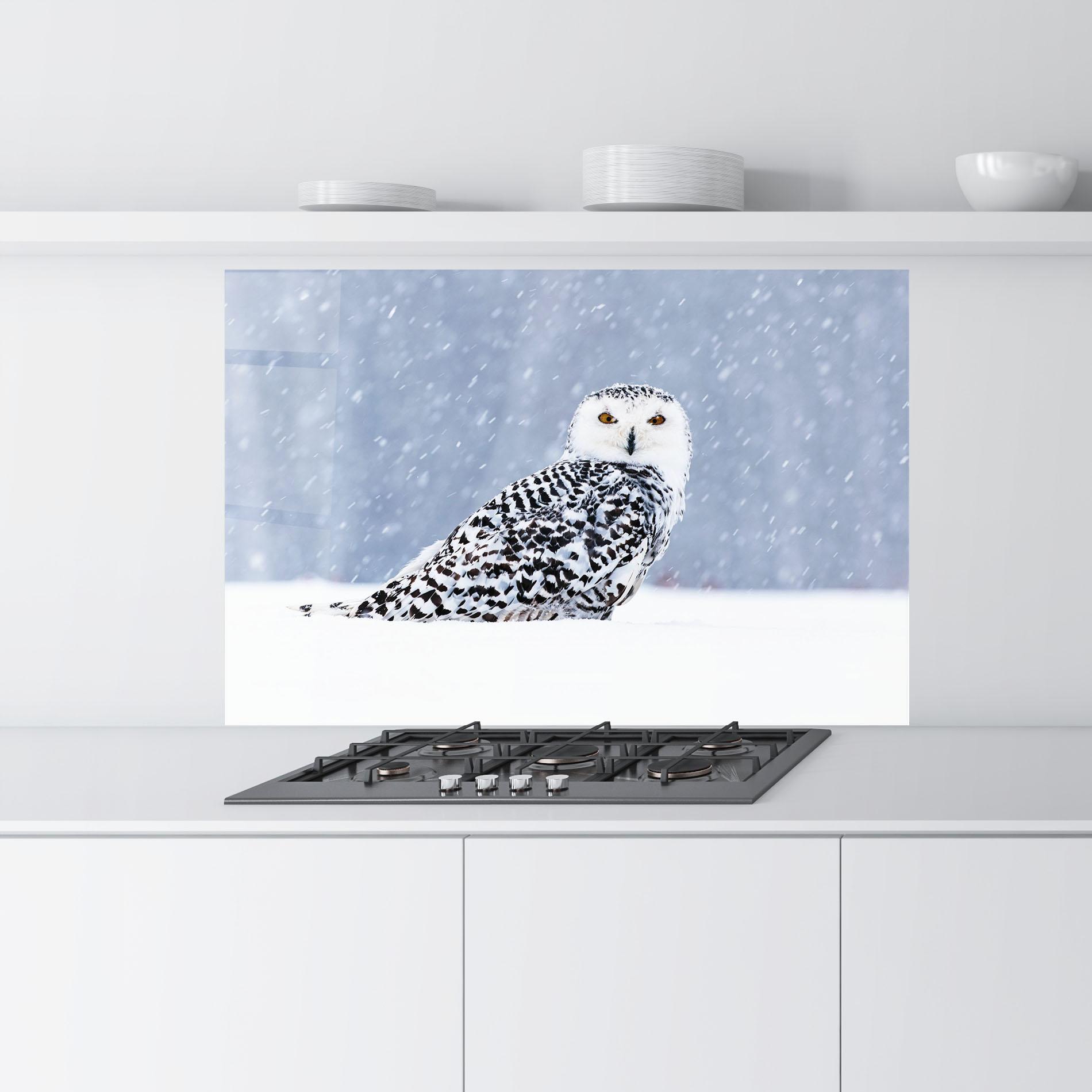 Panou Sticla Bucatarie Snow Owl mockup 9