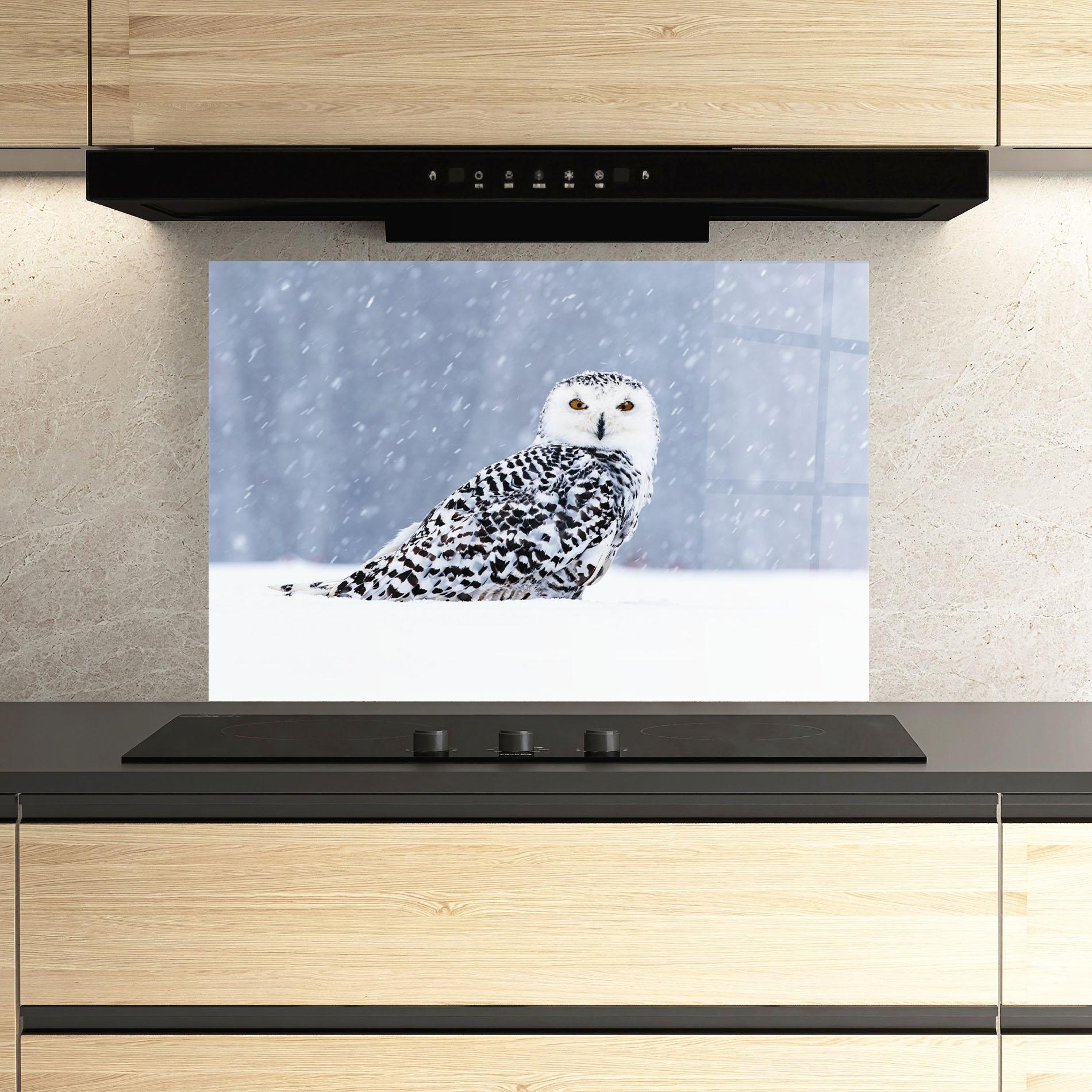 Panou Sticla Bucatarie Snow Owl mockup 3