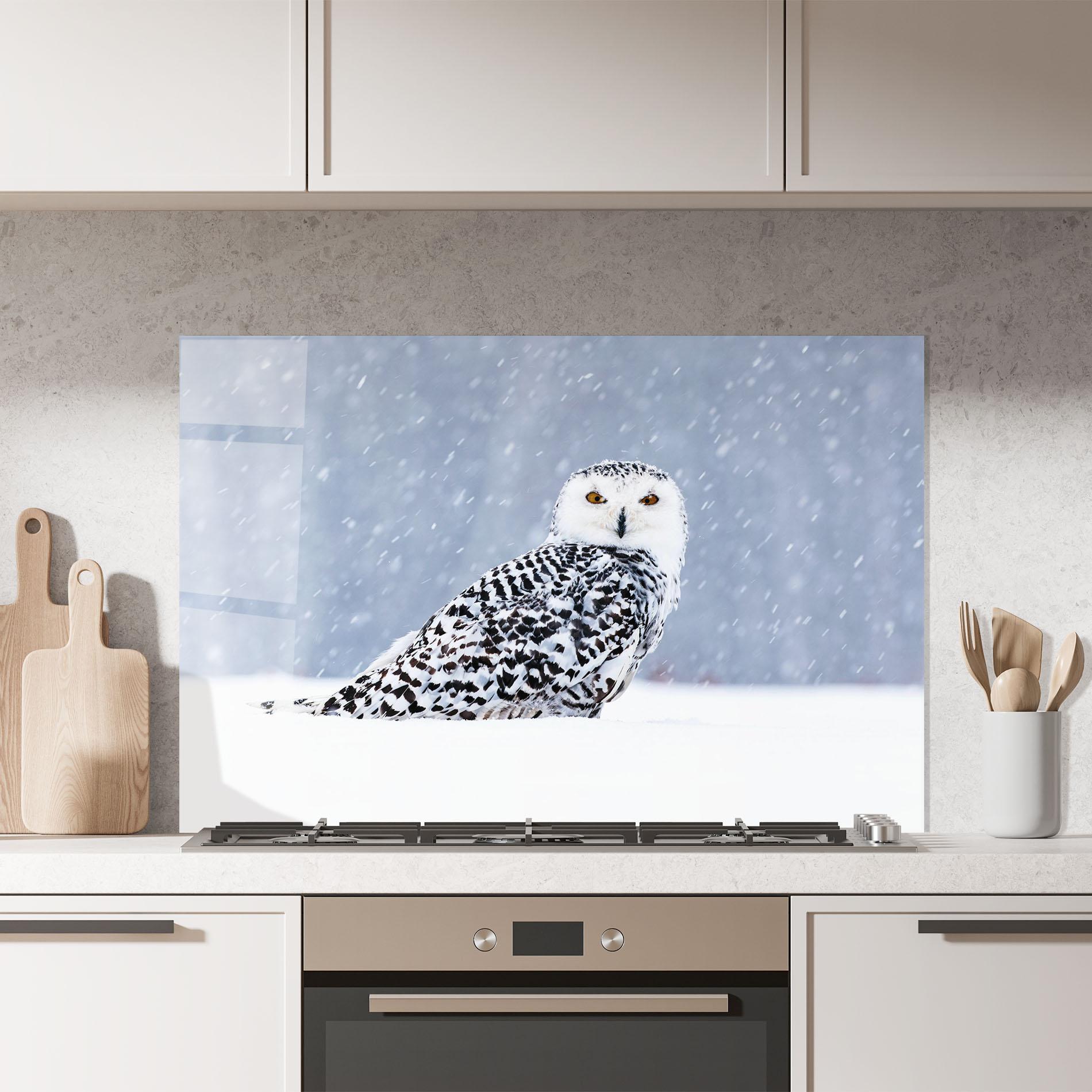 Panou Sticla Bucatarie Snow Owl mockup 7
