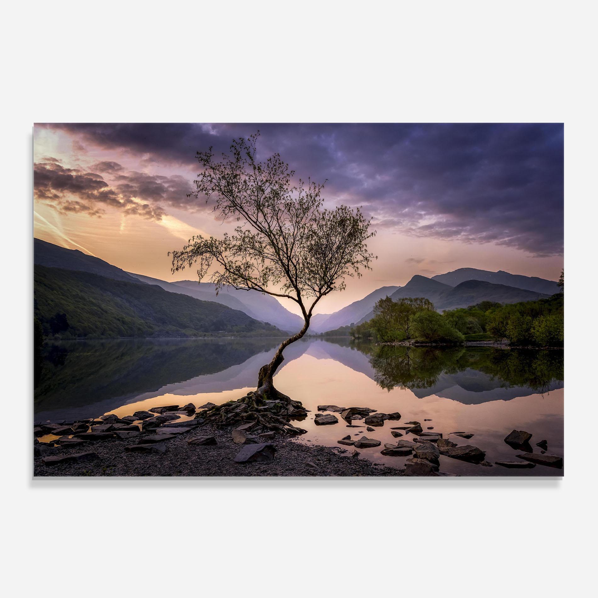 Panou Sticla Bucatarie Lone Tree mockup 0