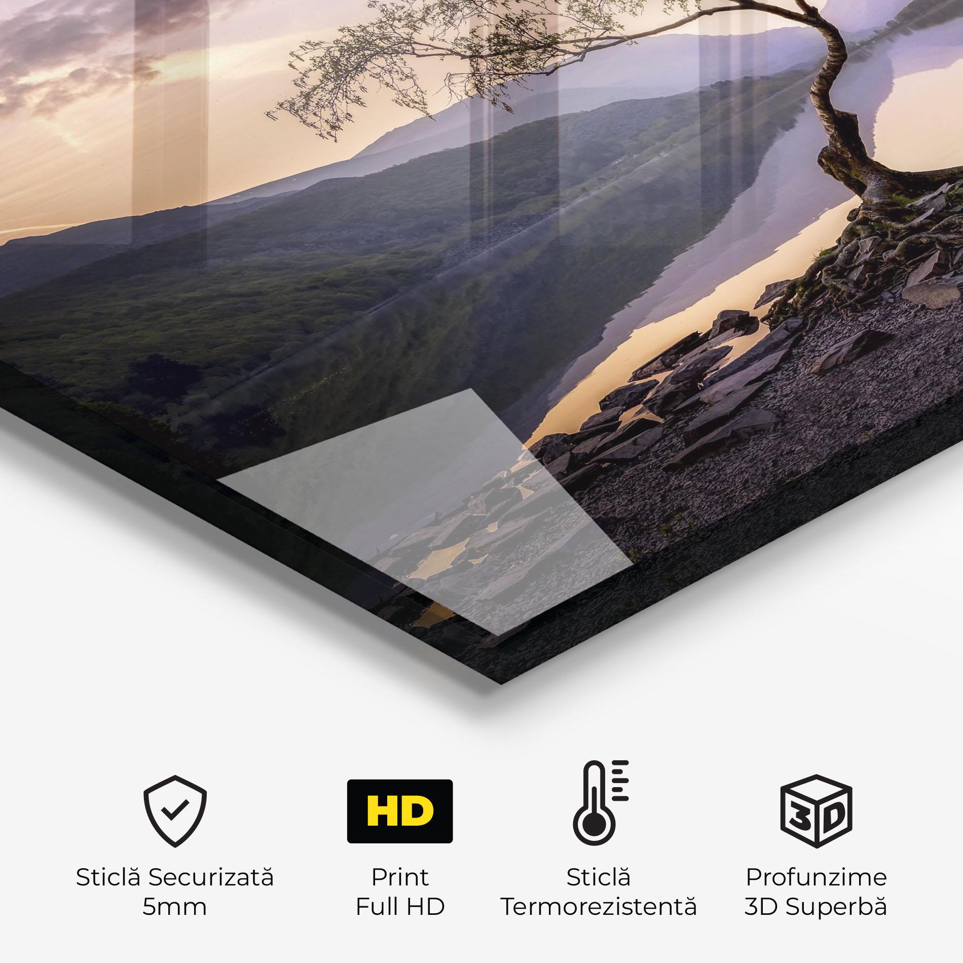 Panou Sticla Bucatarie Lone Tree mockup 2