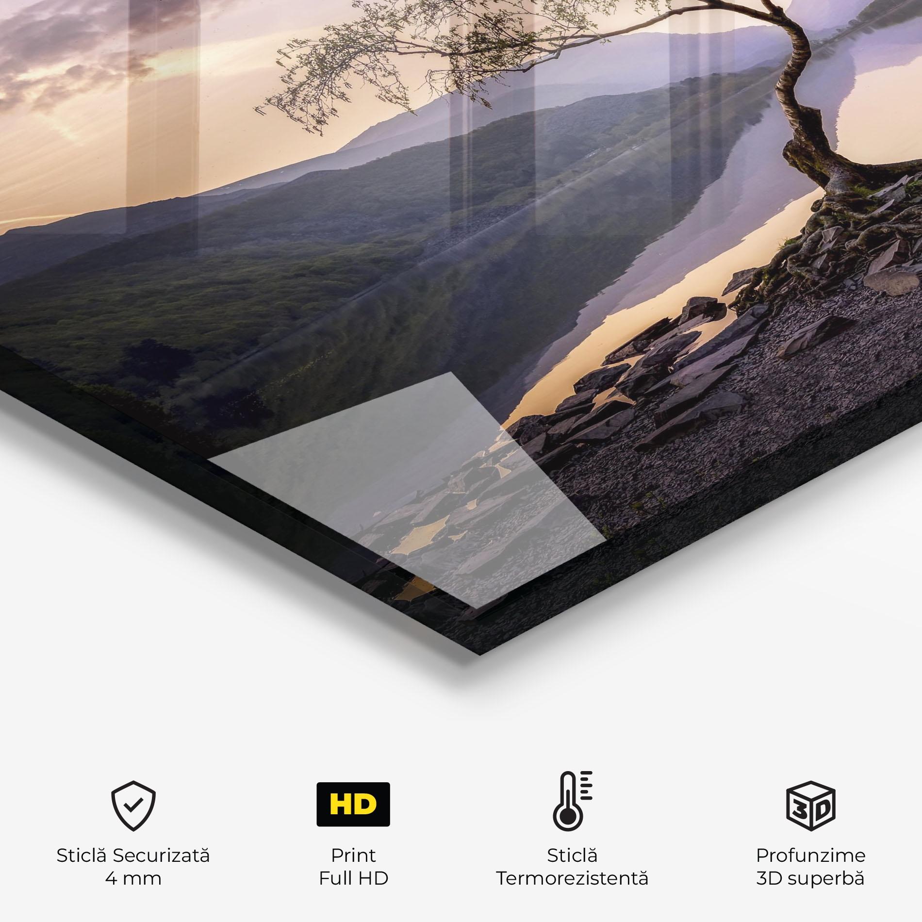 Panou Sticla Bucatarie Lone Tree mockup 2