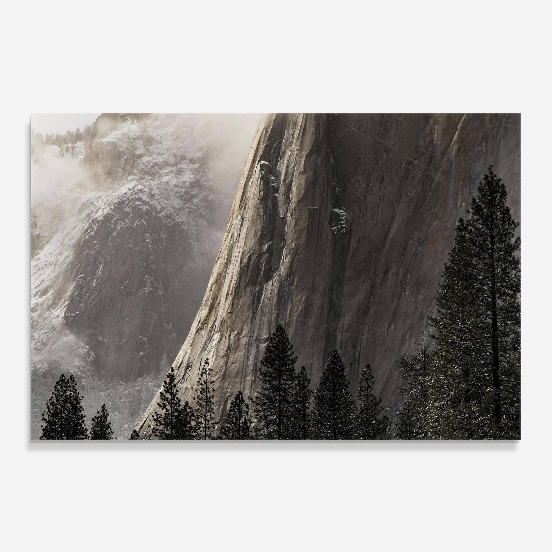 Panou Sticla Bucatarie Green Tree Mountain mockup 0