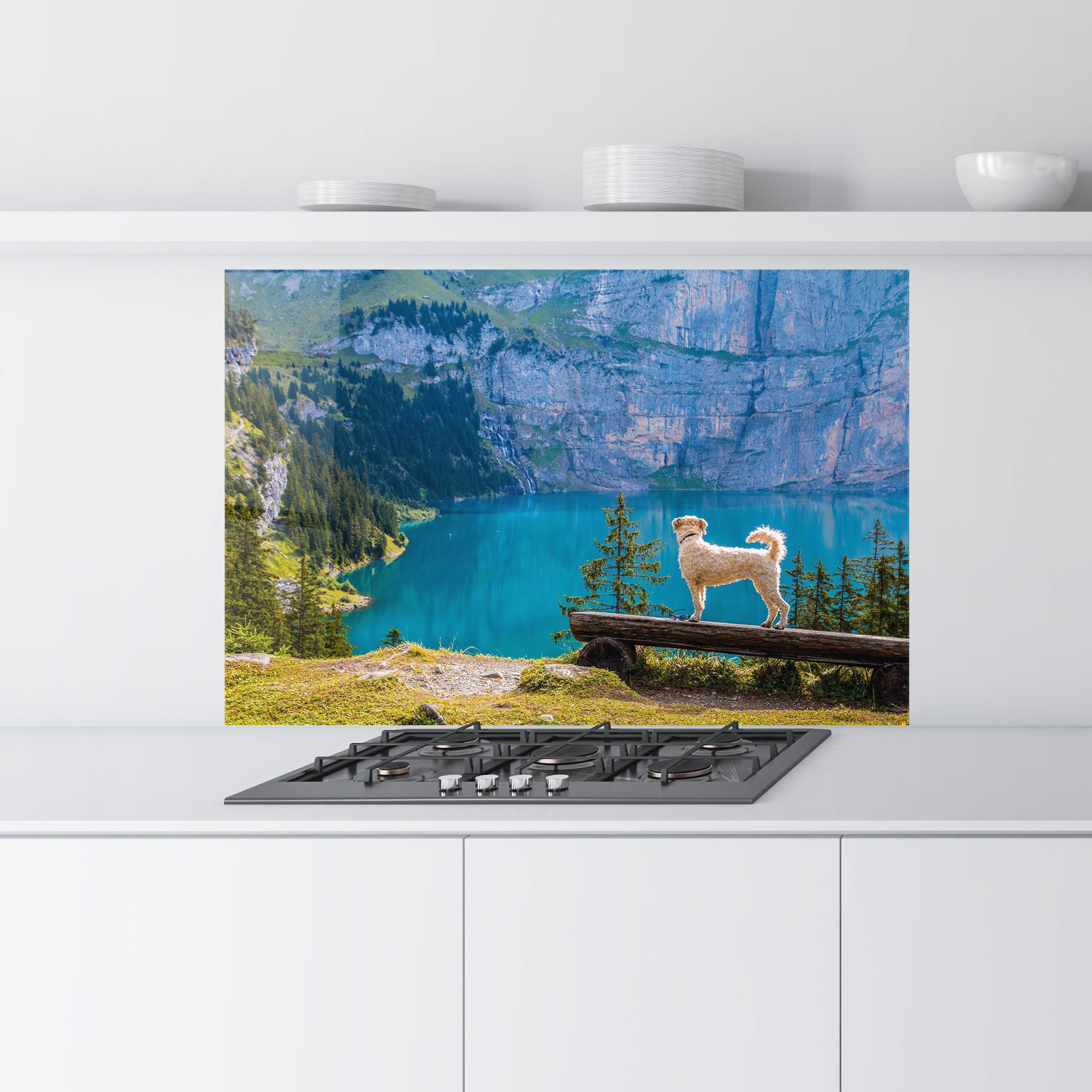 Panou Sticla Bucatarie Dog mockup 9