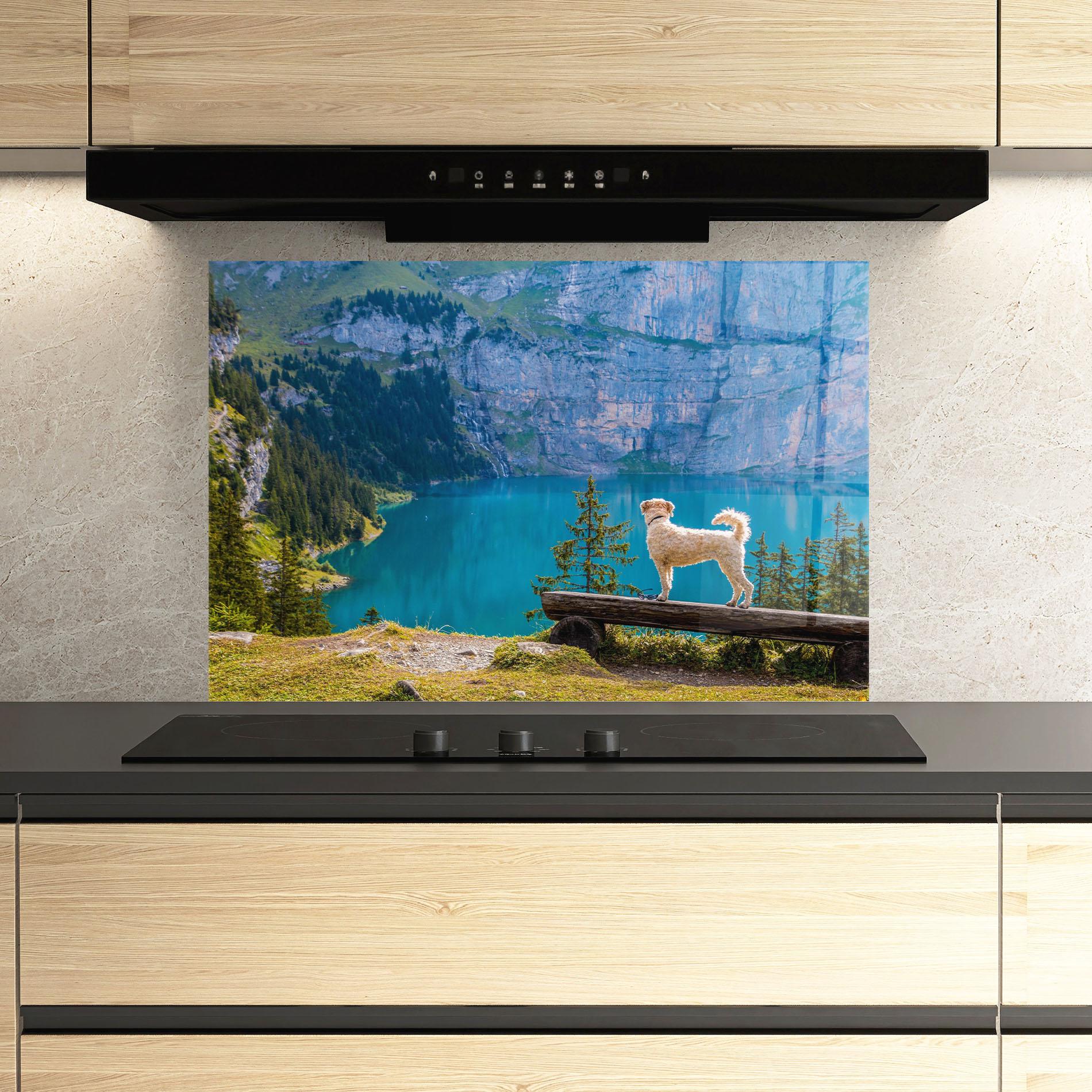 Panou Sticla Bucatarie Dog mockup 3