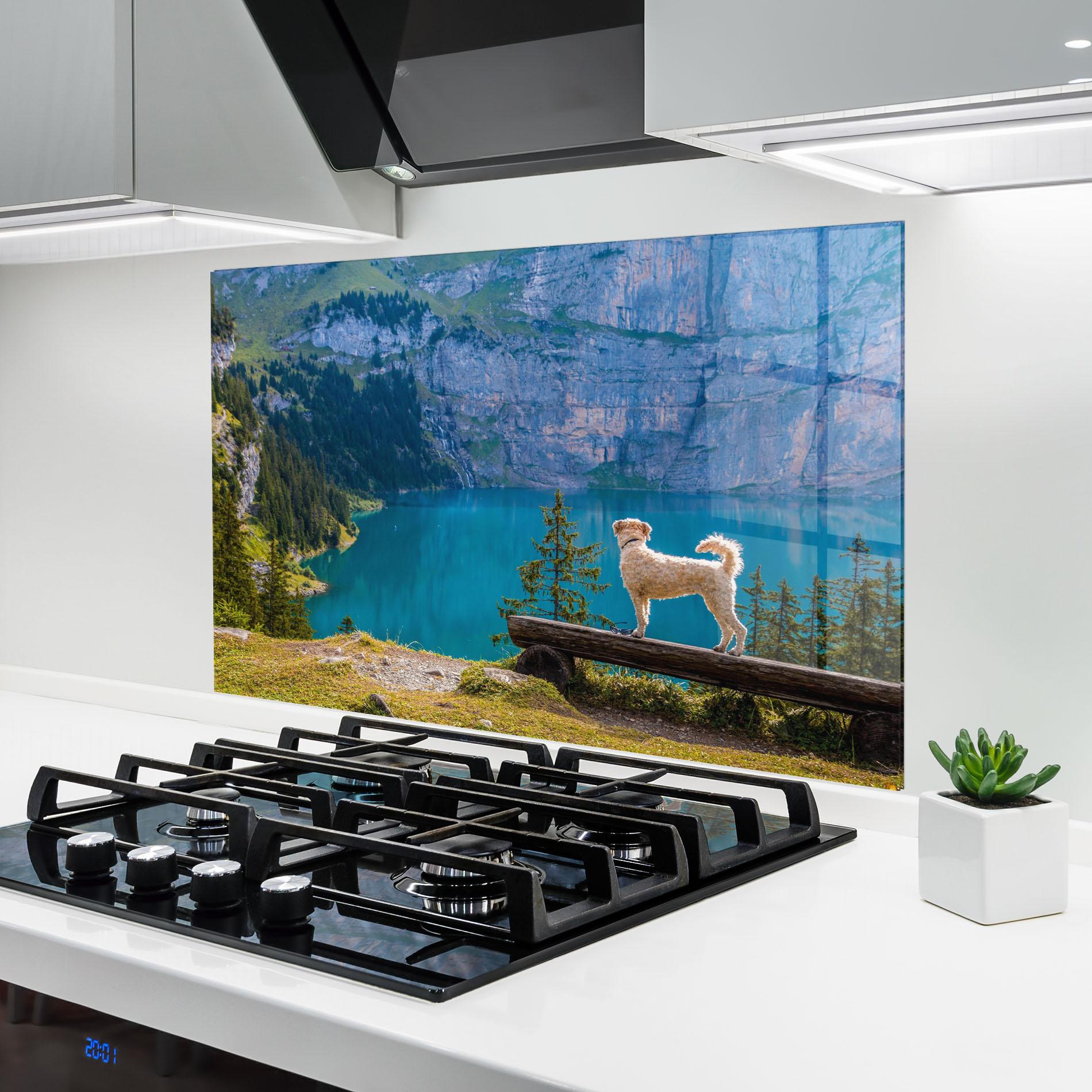 Panou Sticla Bucatarie Dog mockup 6