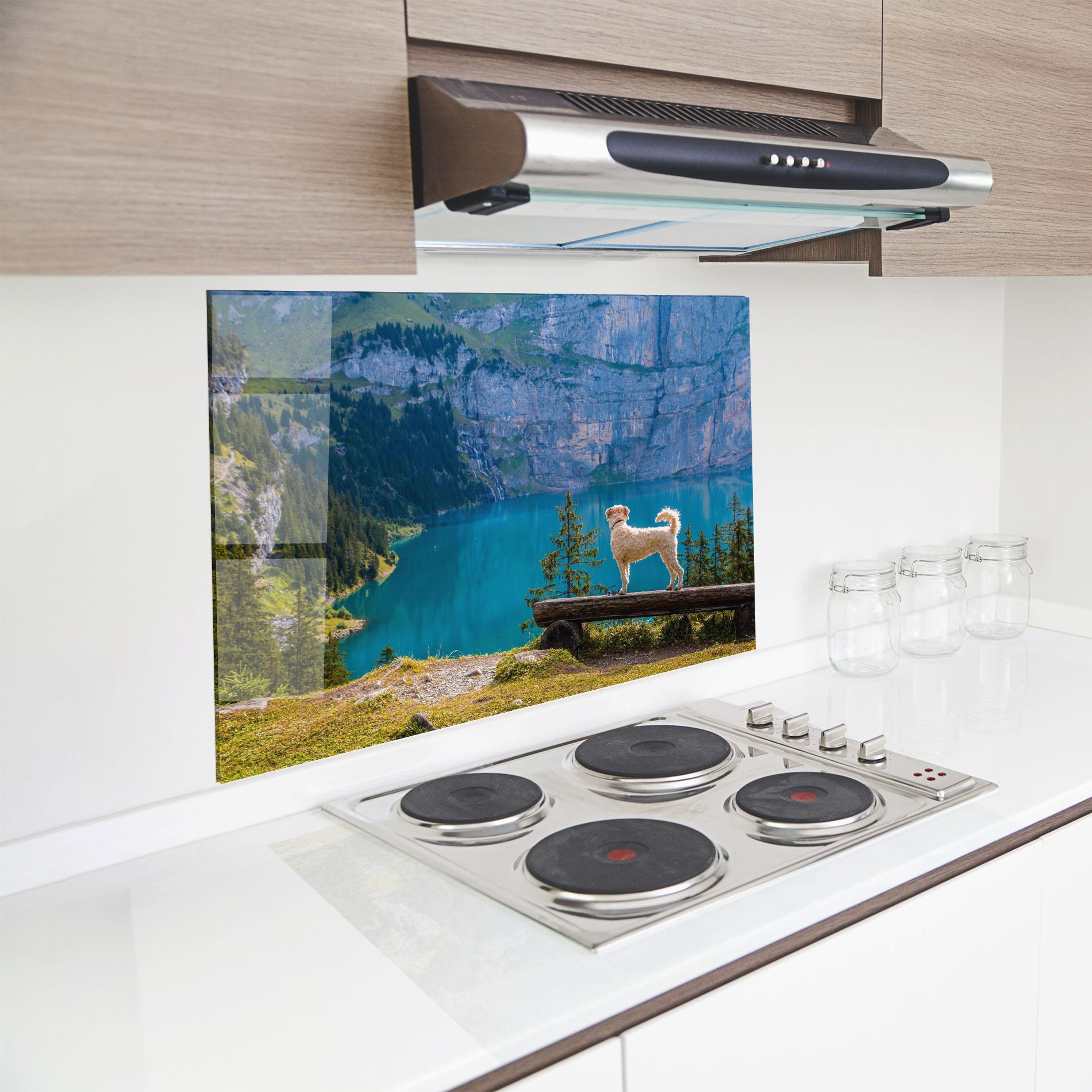 Panou Sticla Bucatarie Dog mockup 8