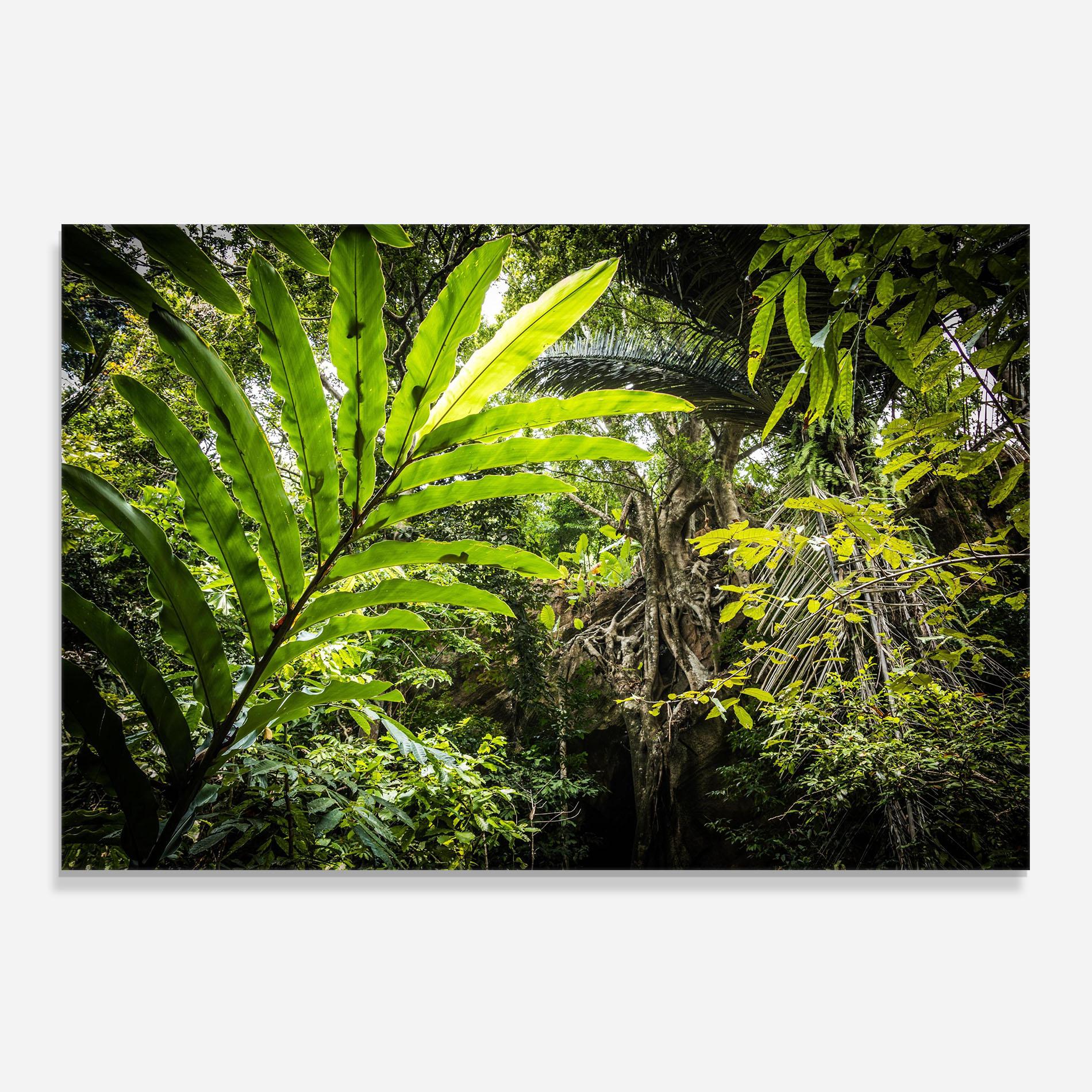 Panou Sticla Bucatarie Big Leaf Forest mockup 0