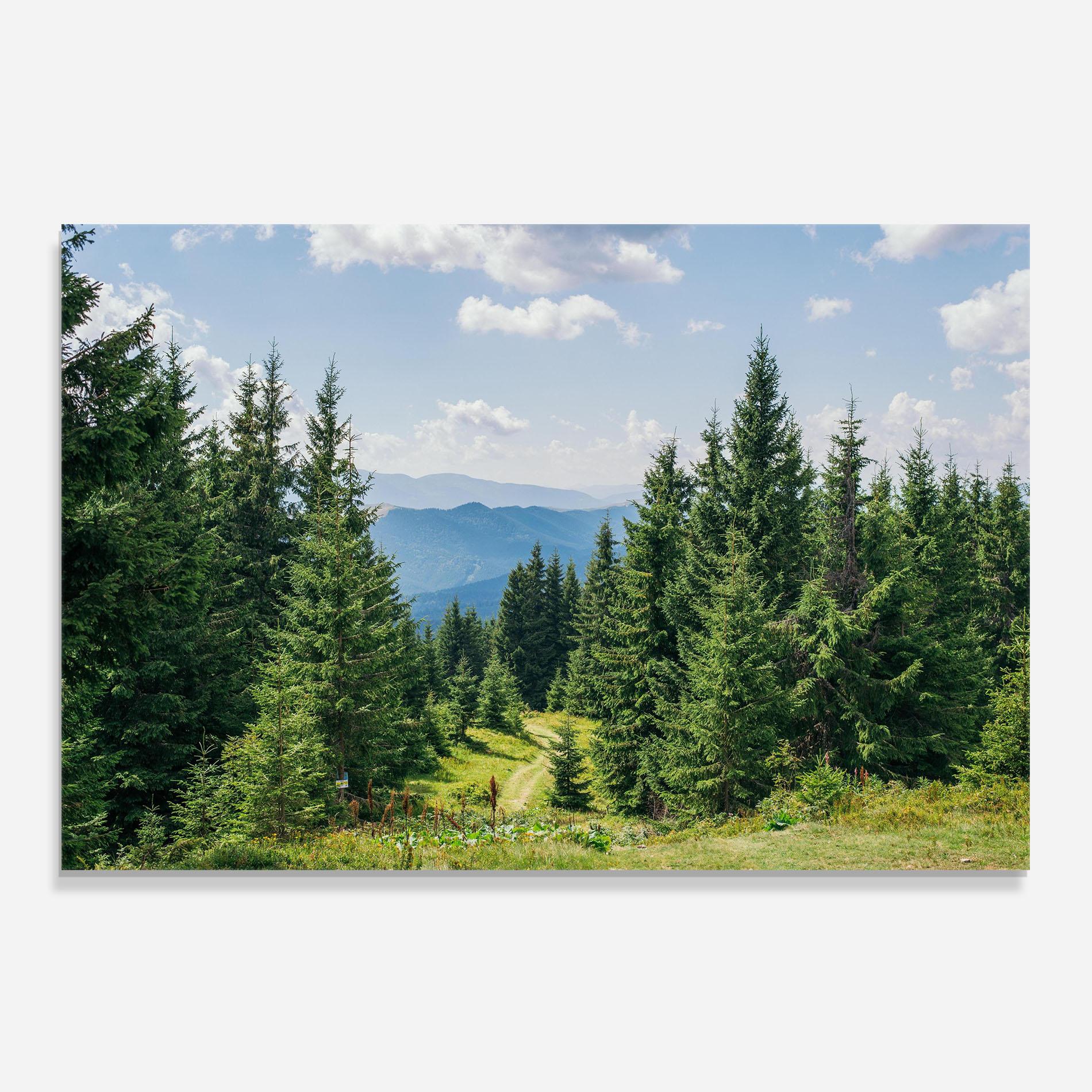 Panou Sticla Bucatarie Carpathian Mountain mockup 0