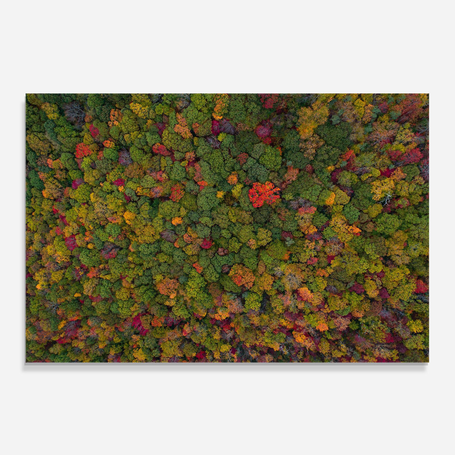 Panou Sticla Bucatarie Color Mix Forest mockup 0