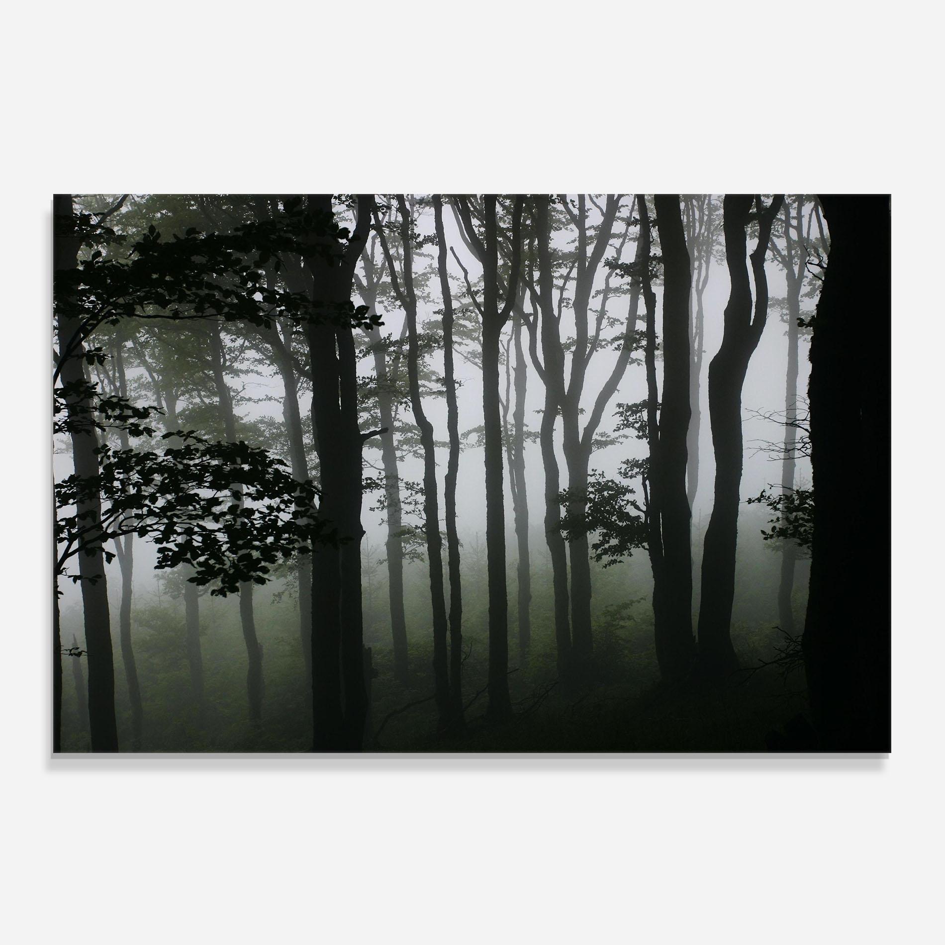 Panou Sticla Bucatarie Foggy Black Tree mockup 0