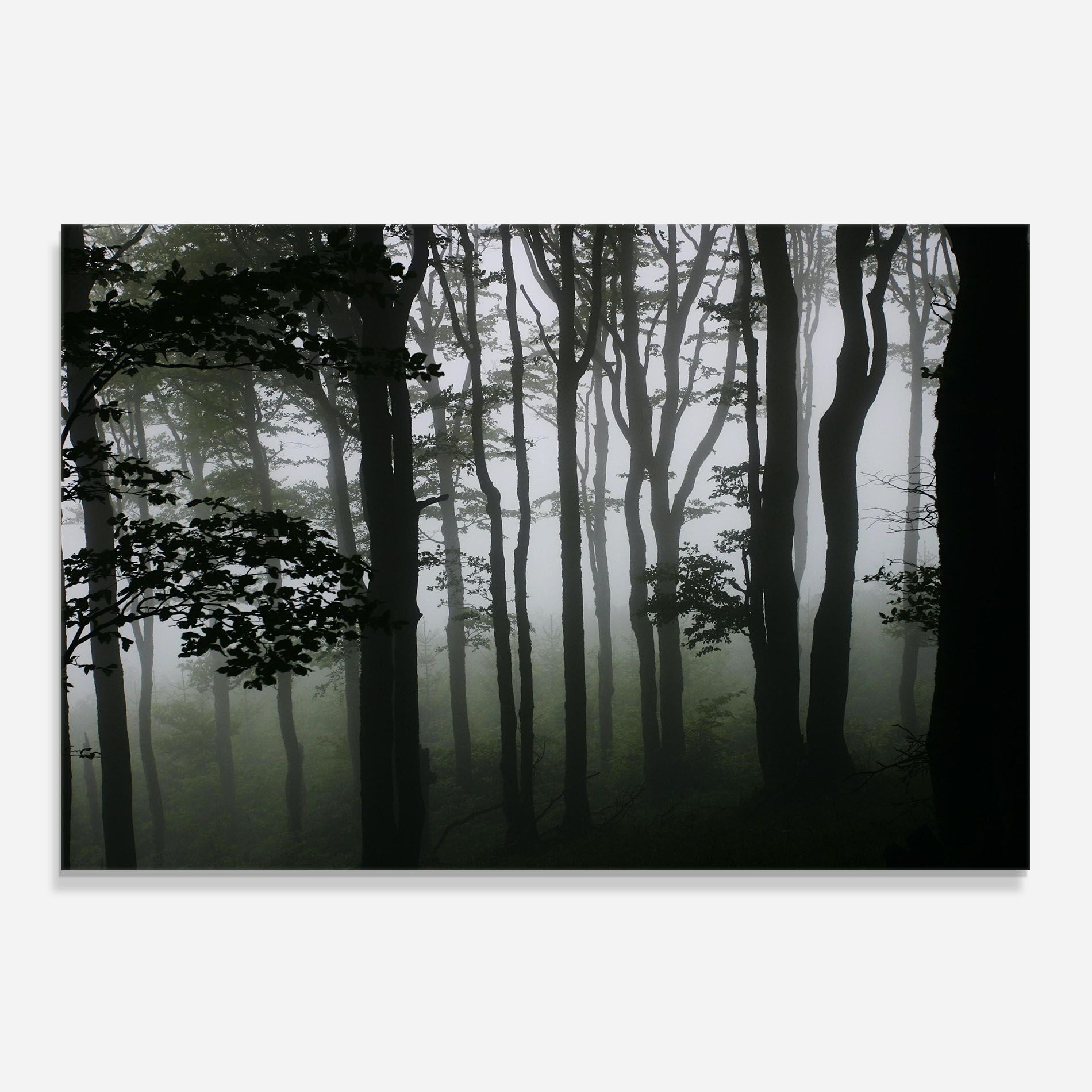 Foggy Black Tree mockup 0