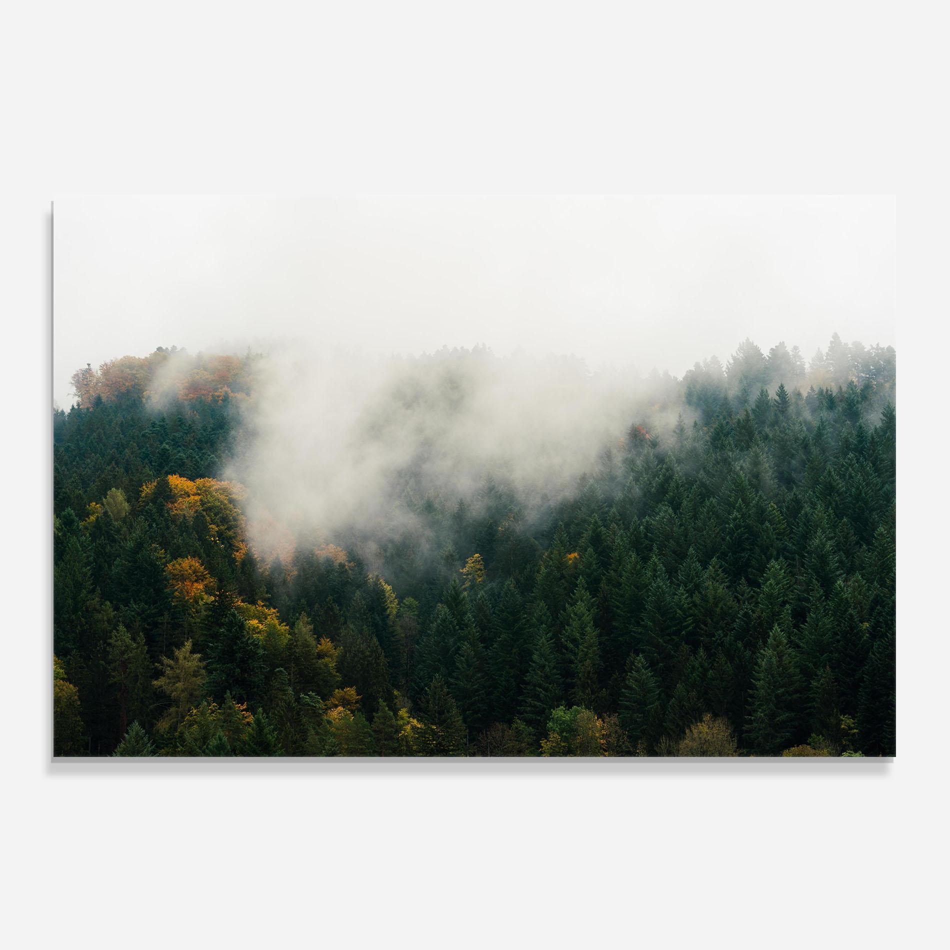 Panou Sticla Bucatarie Foggy Tree Forest mockup 0