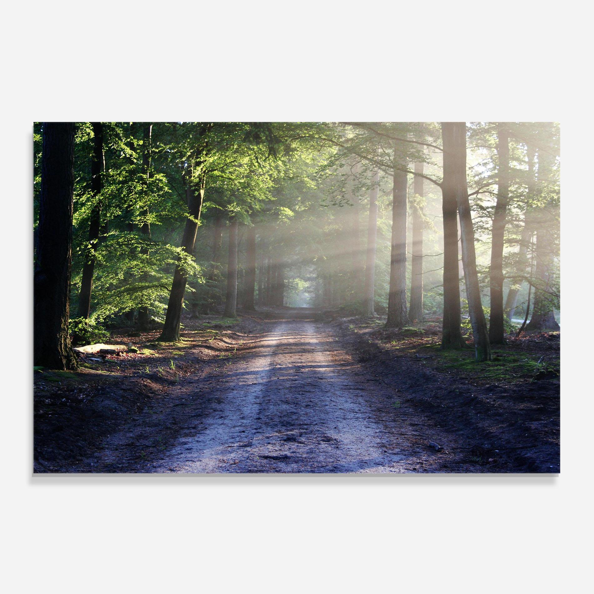 Panou Sticla Bucatarie Forest Road mockup 0