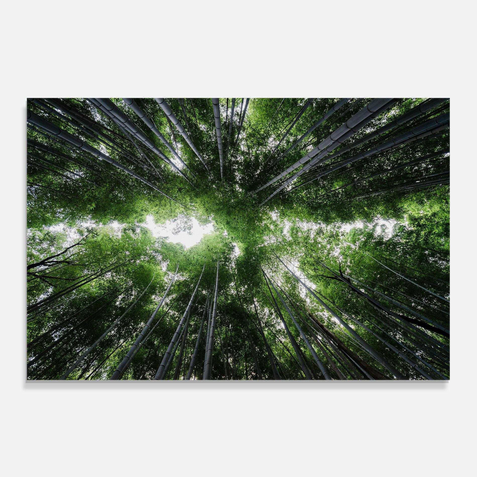 Panou Sticla Bucatarie Green Trees Forest mockup 0