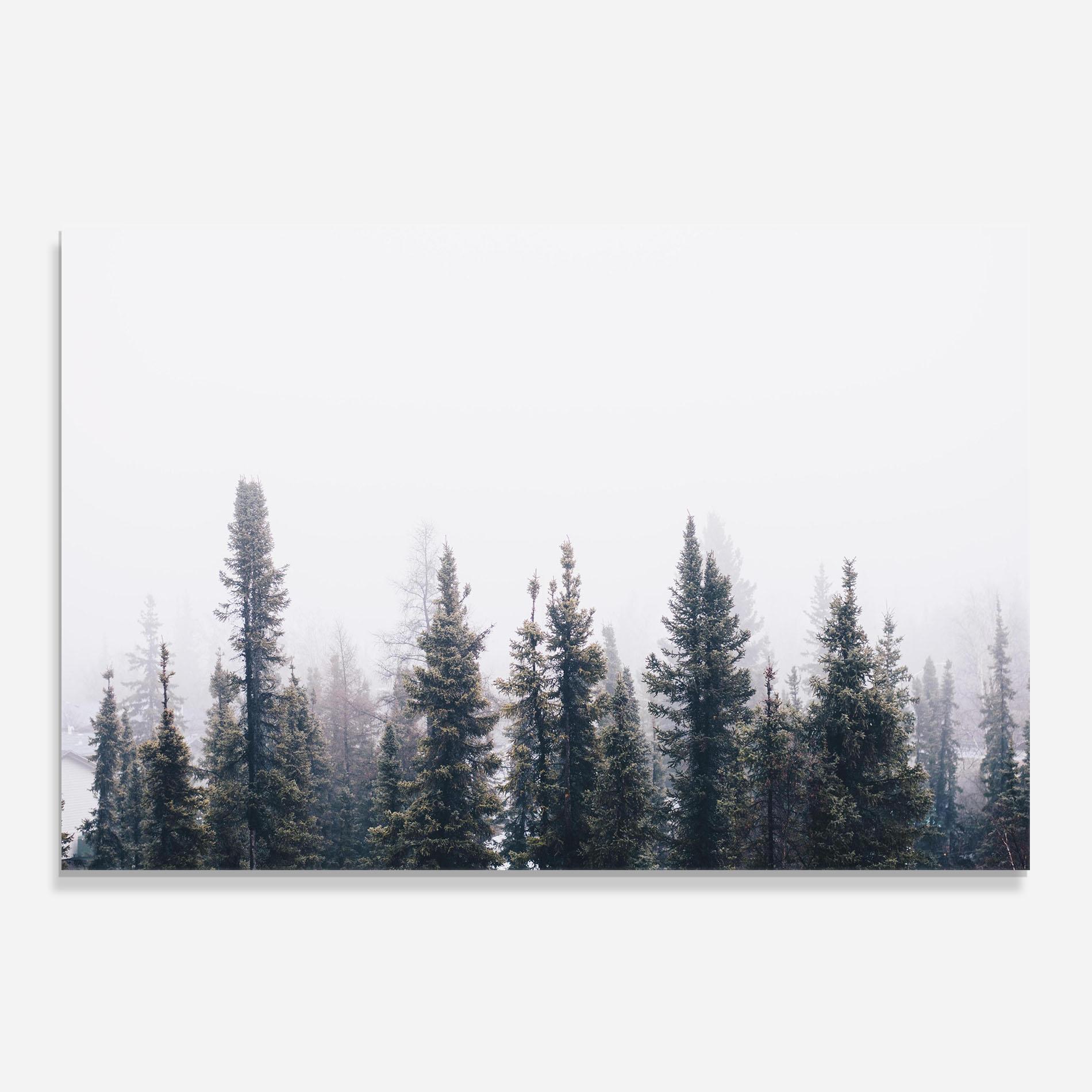 Panou Sticla Bucatarie Grey Foggy Trees mockup 0