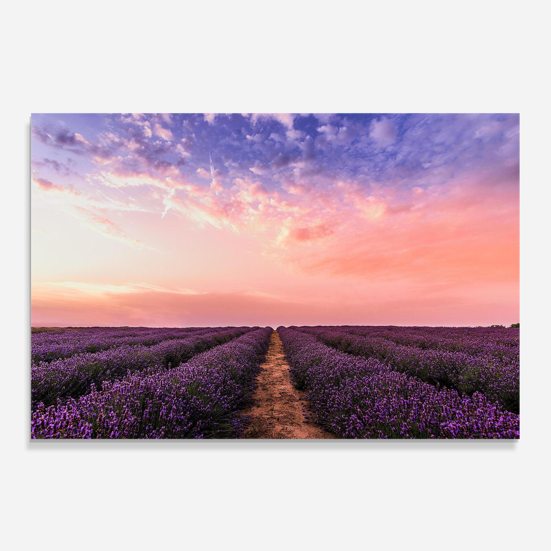 Panou Sticla Bucatarie Lavender Field mockup 0