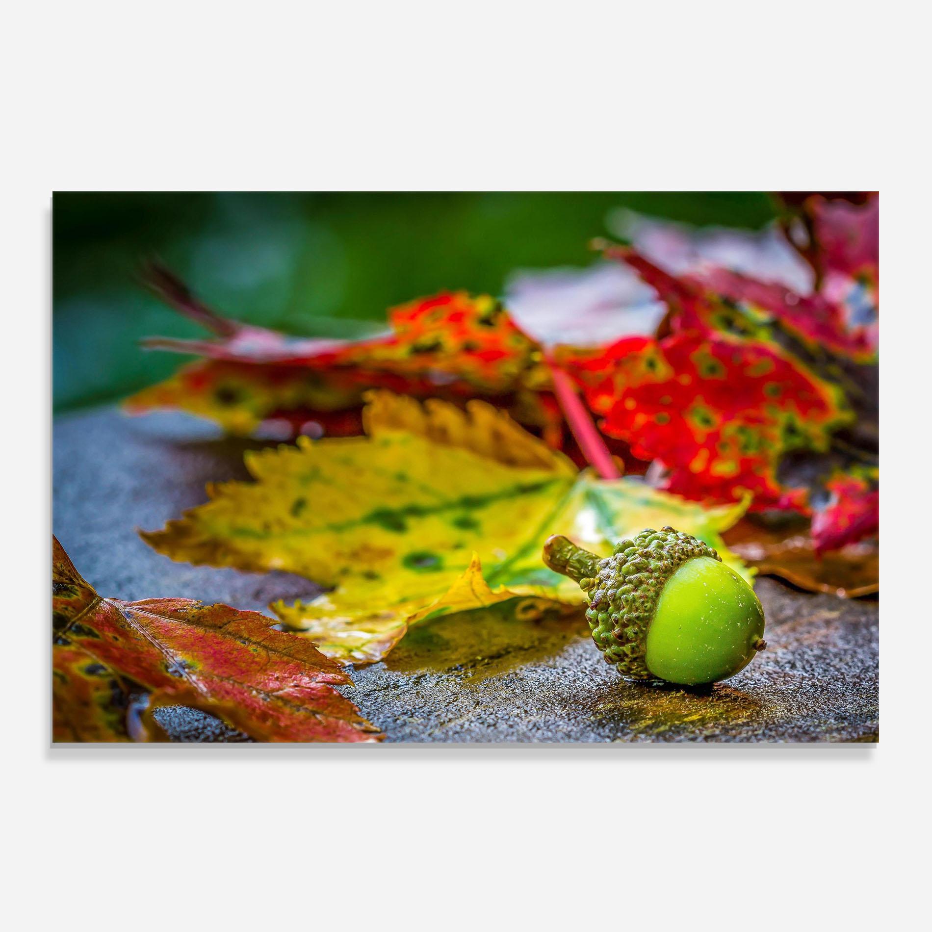 Panou Sticla Bucatarie Leaf Color Forest mockup 0