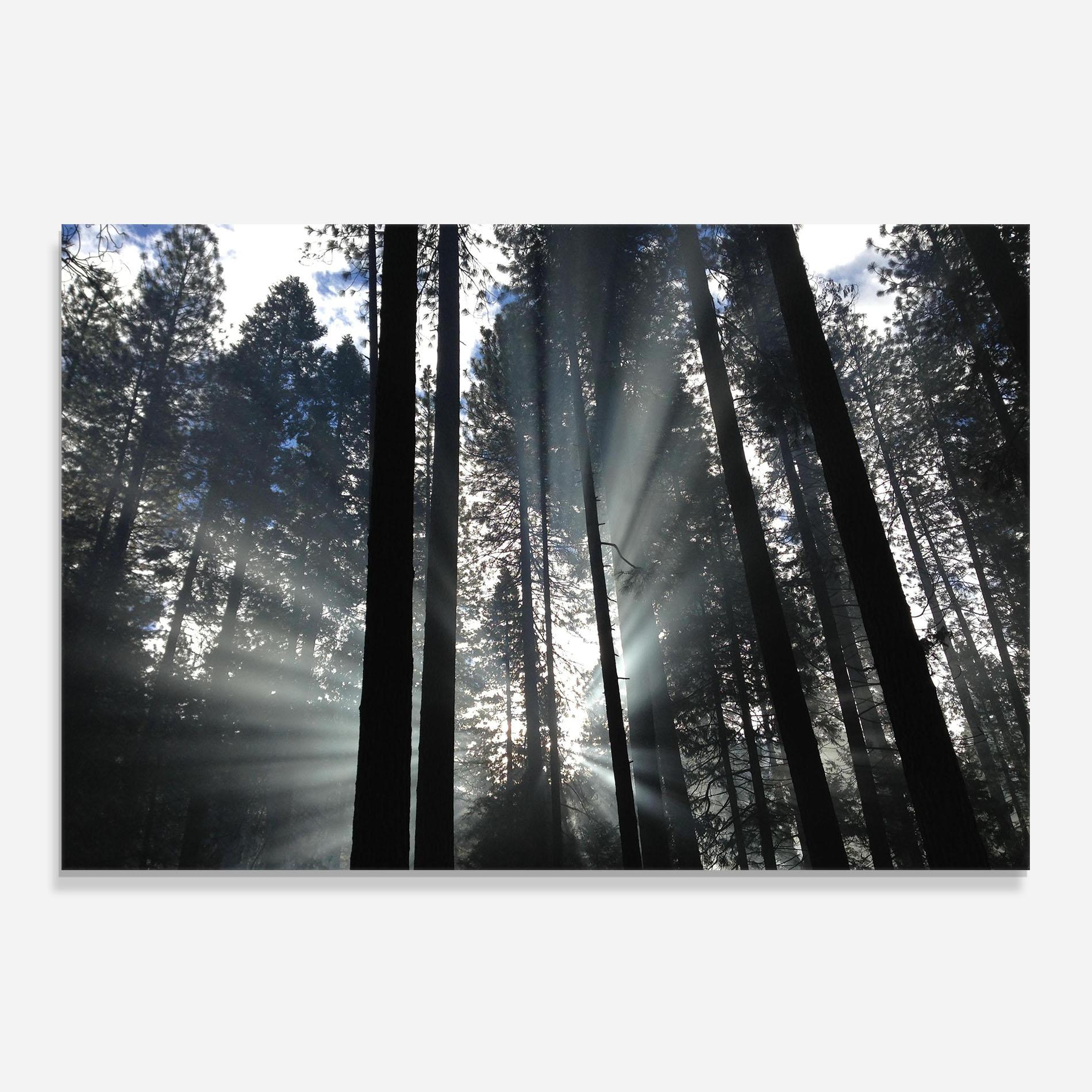 Panou Sticla Bucatarie Morning Light Forest mockup 0