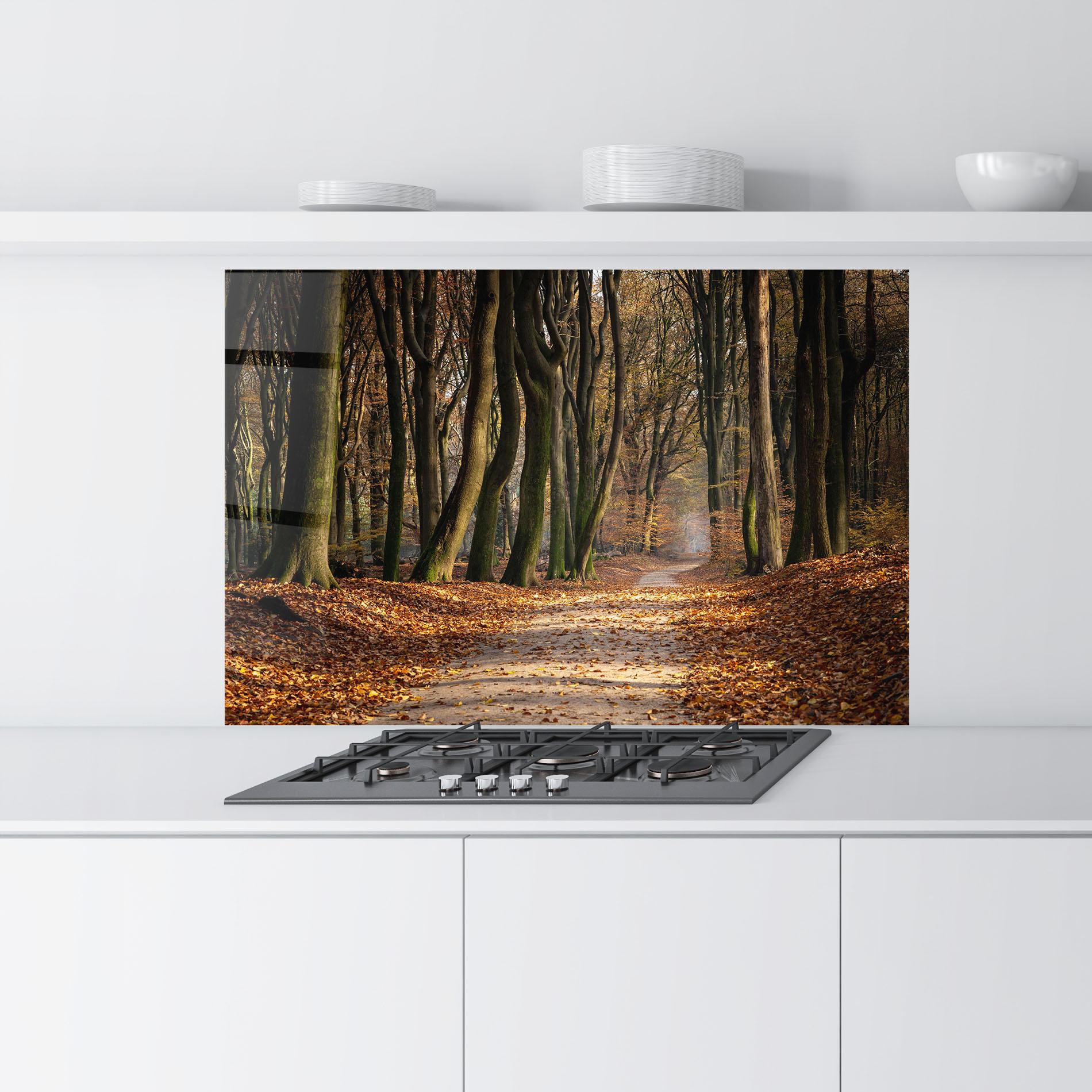 Panou Sticla Bucatarie Autumn Path Forest mockup 9