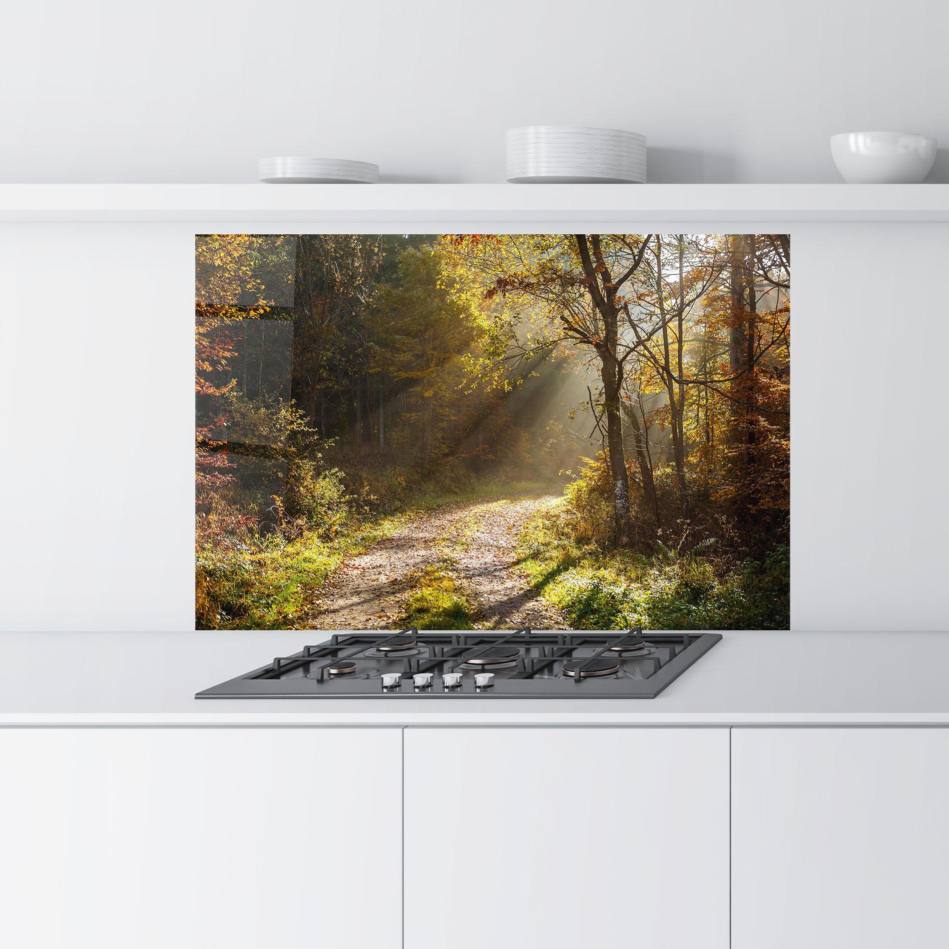 Panou Sticla Bucatarie Autumn Trees Sun mockup 9