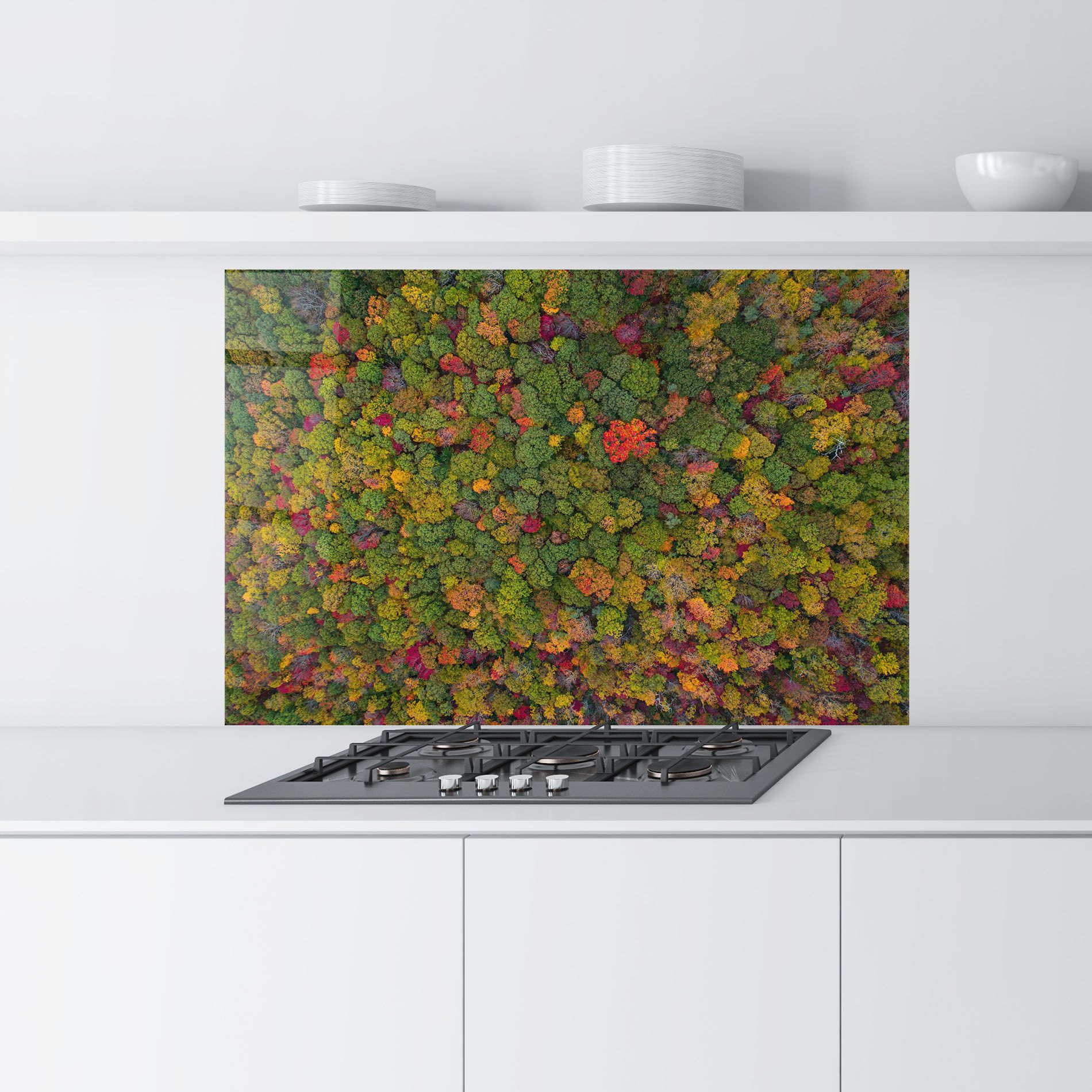 Color Mix Forest mockup 9