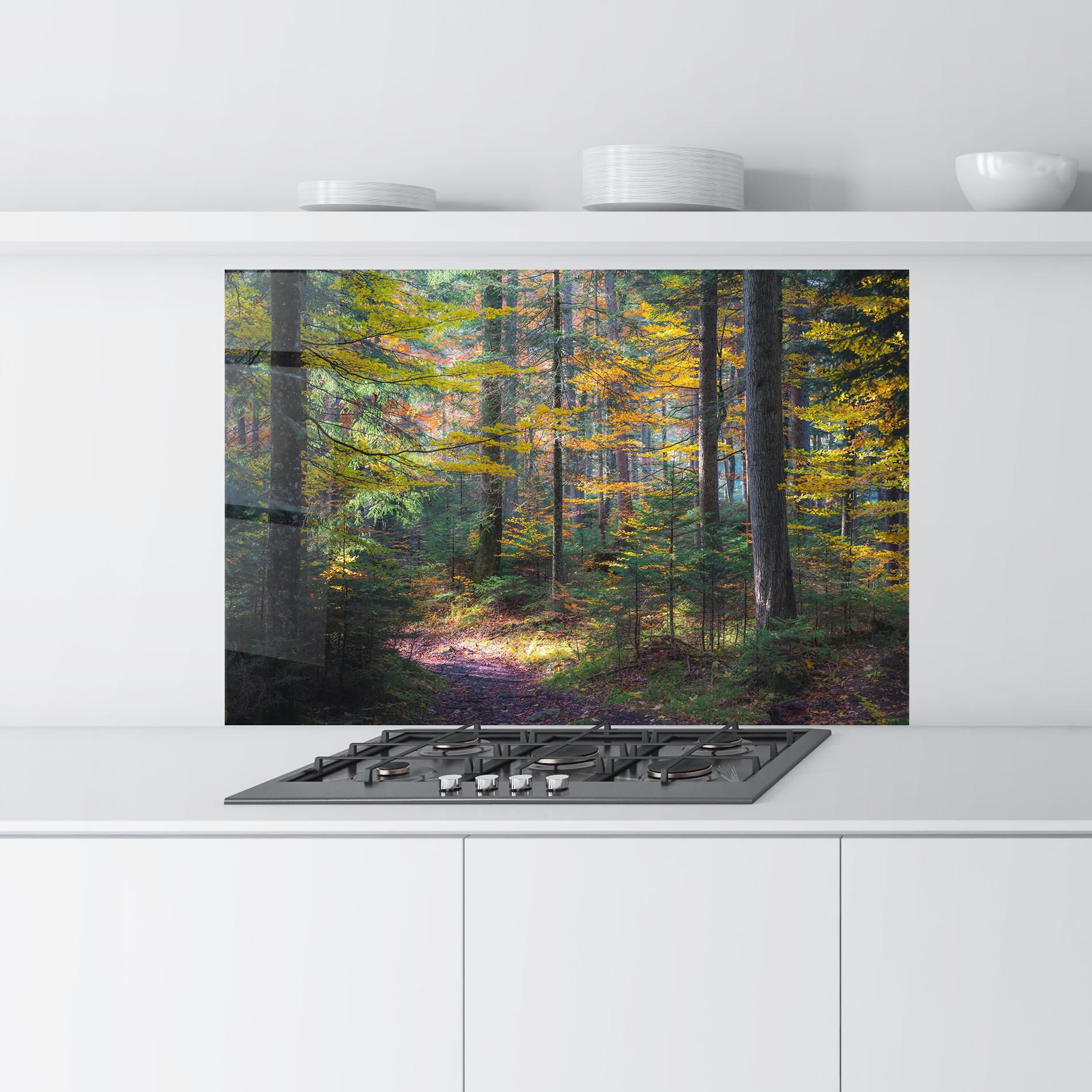 Panou Sticla Bucatarie Dreamy Path Dorest mockup 9