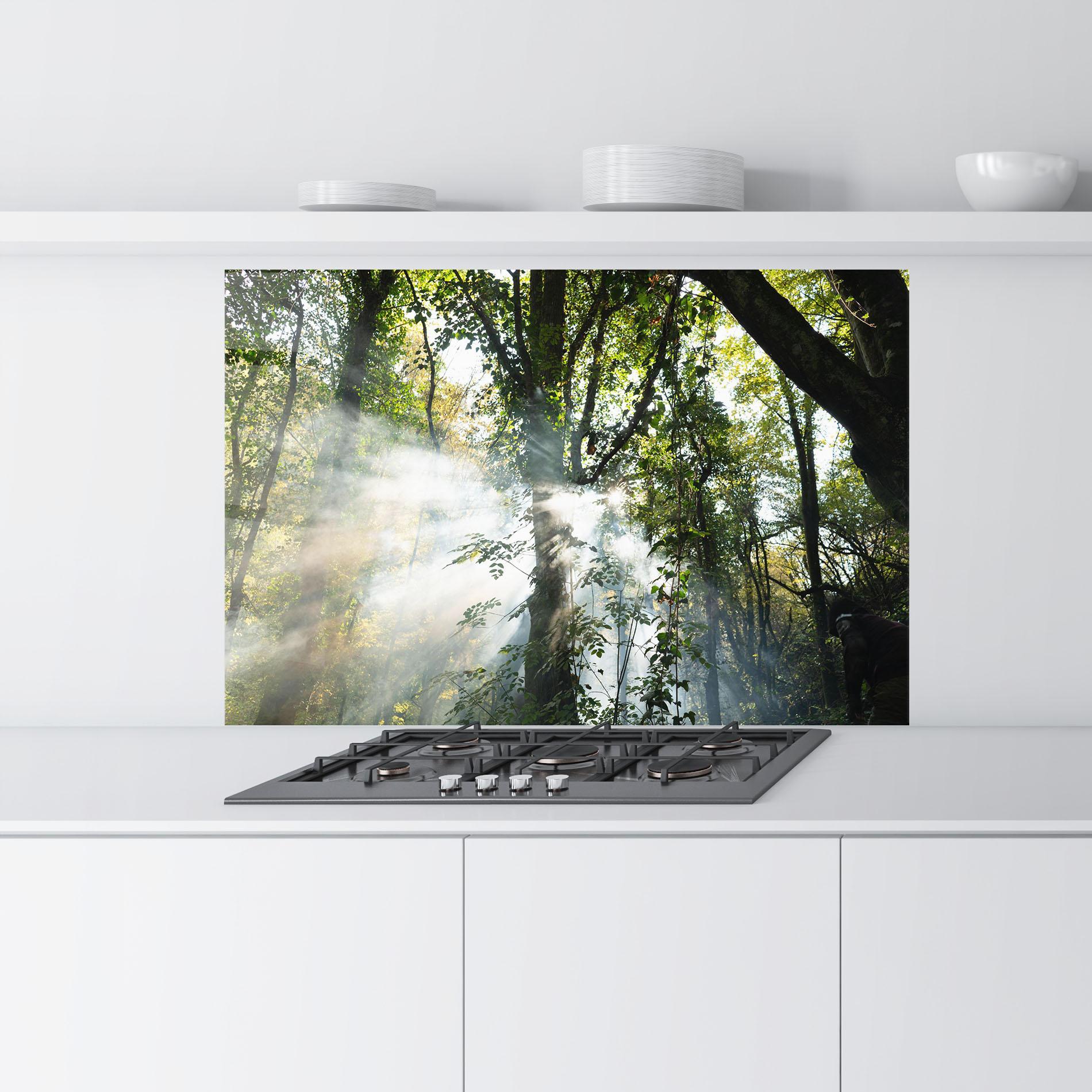 Panou Sticla Bucatarie Foggy Light Forest mockup 9