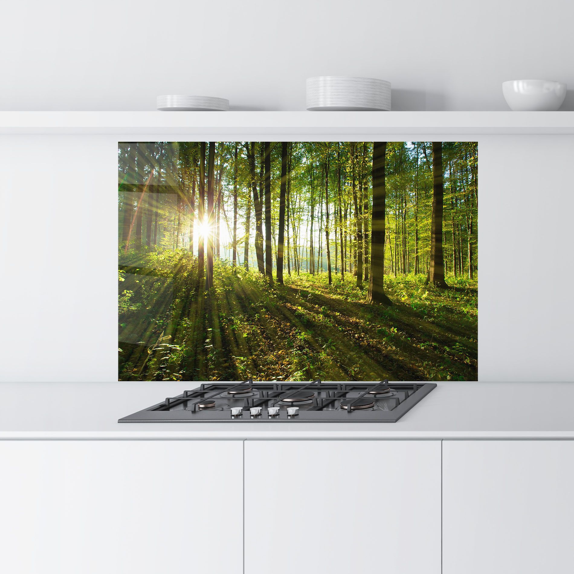 Green Light Forest mockup 9