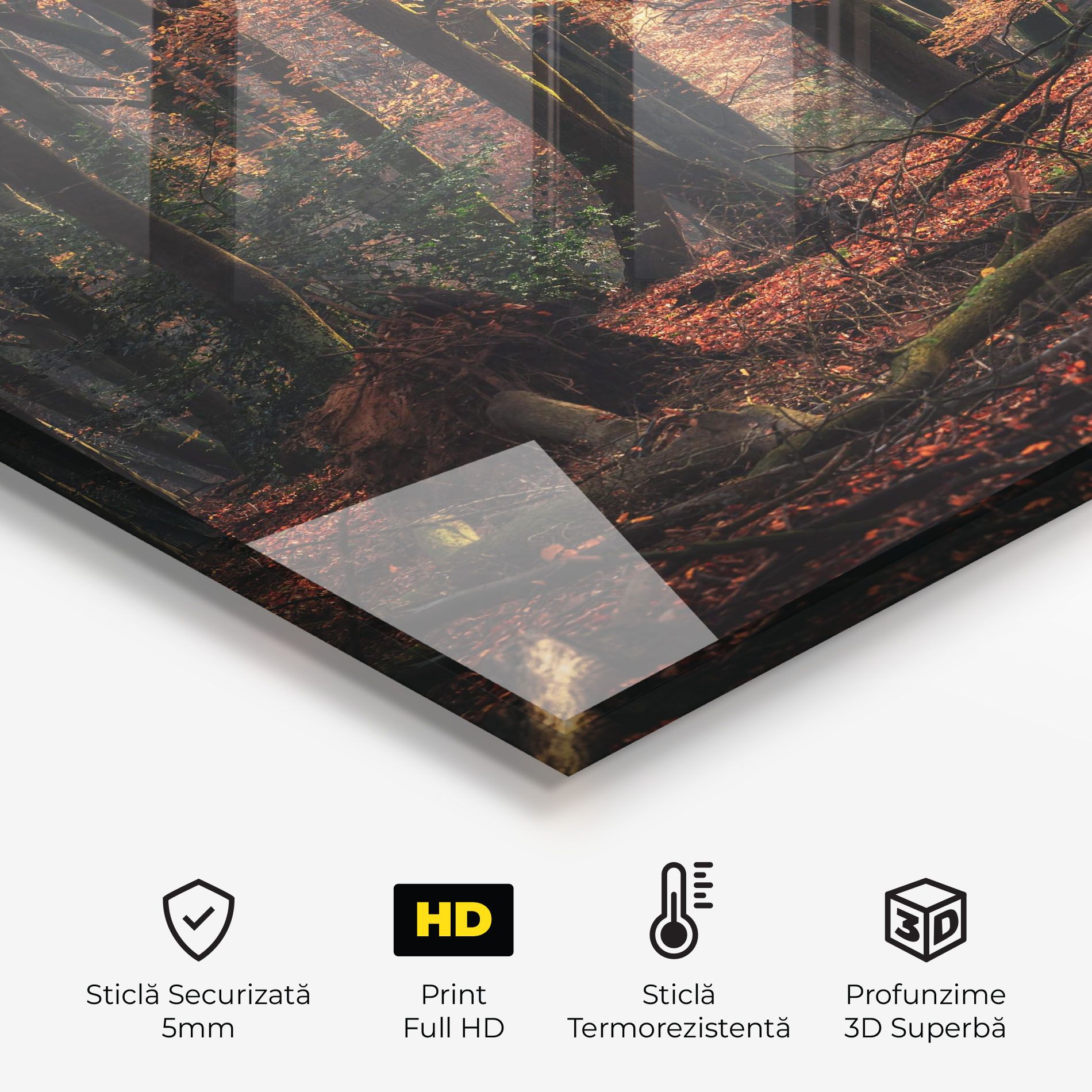 Autumn Forest Trees mockup 2