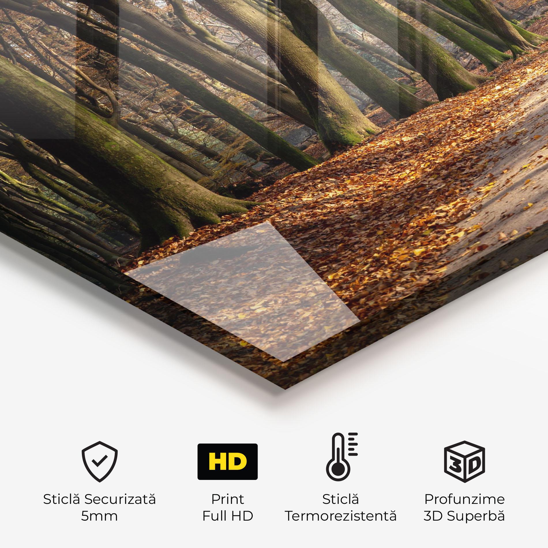 Panou Sticla Bucatarie Autumn Path Forest mockup 2